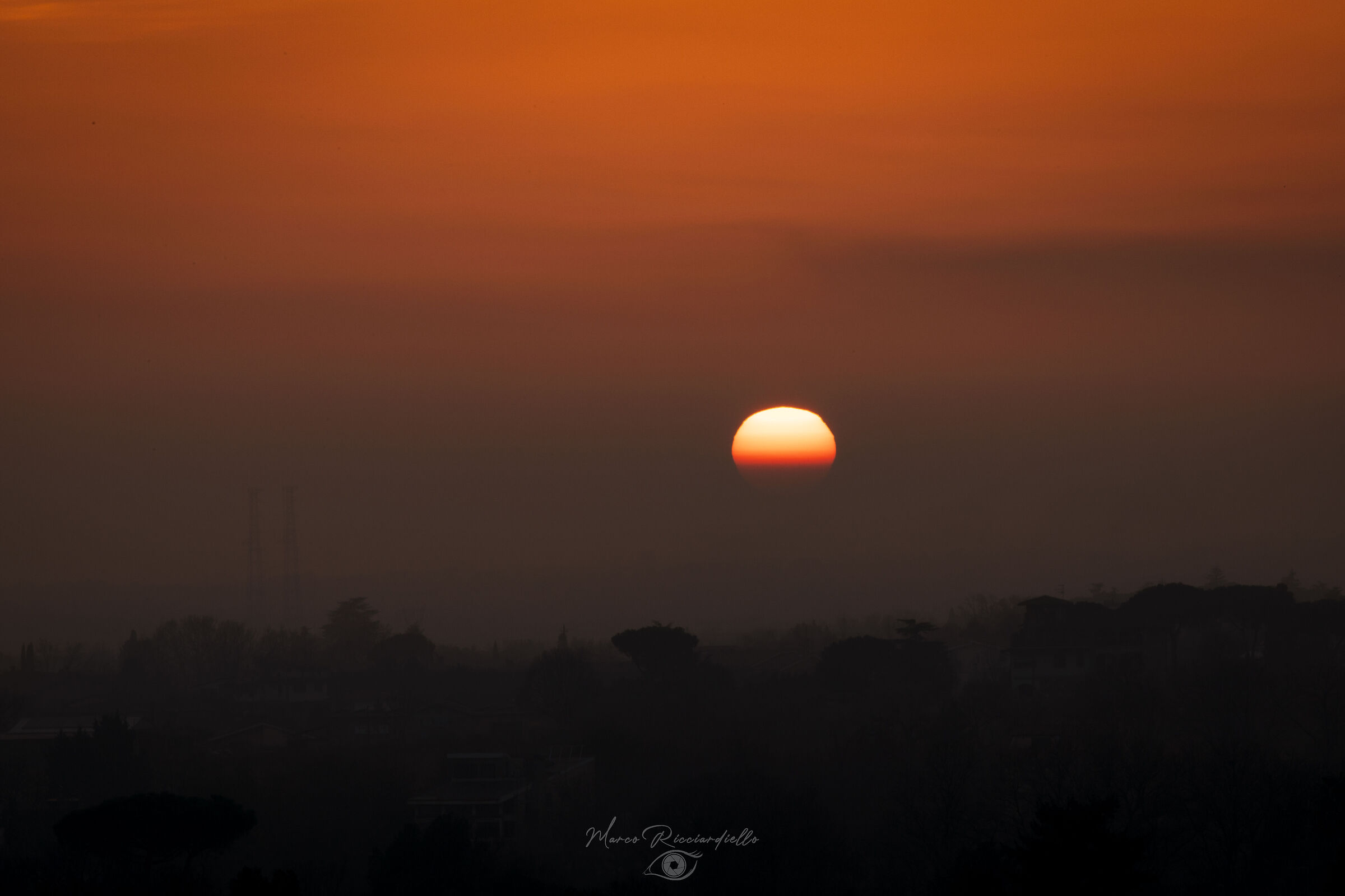 Untitled Photo