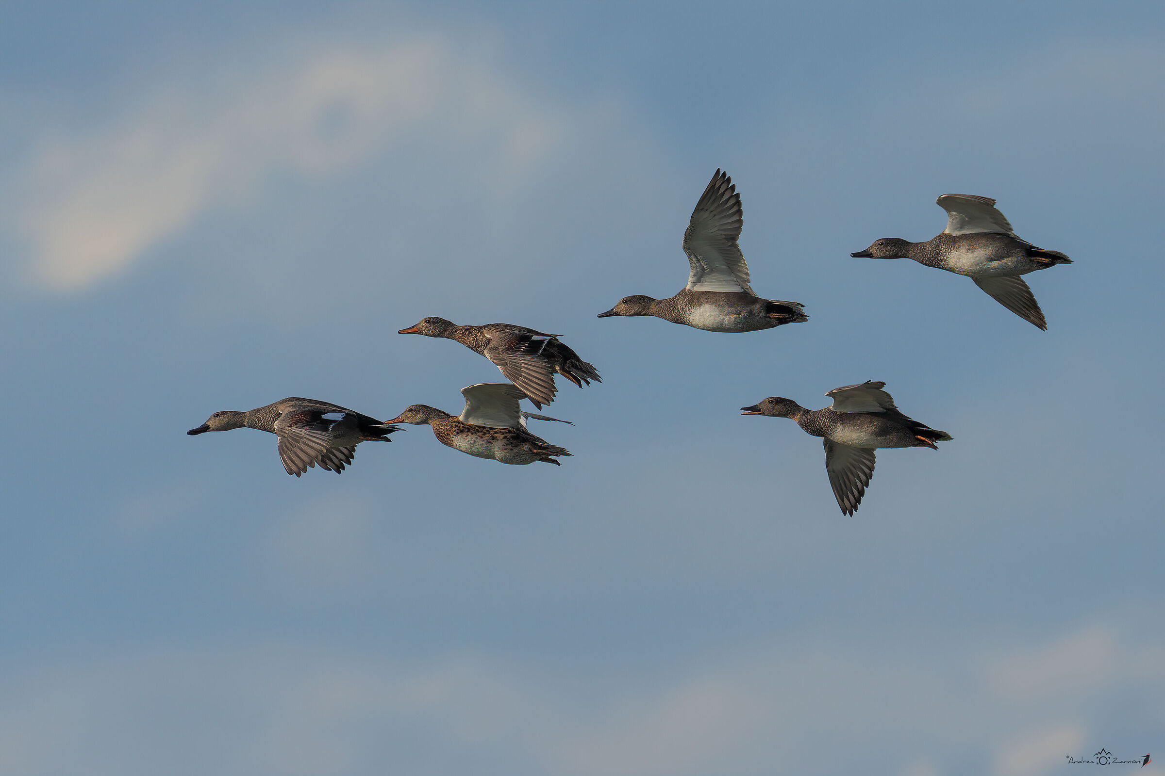In flight