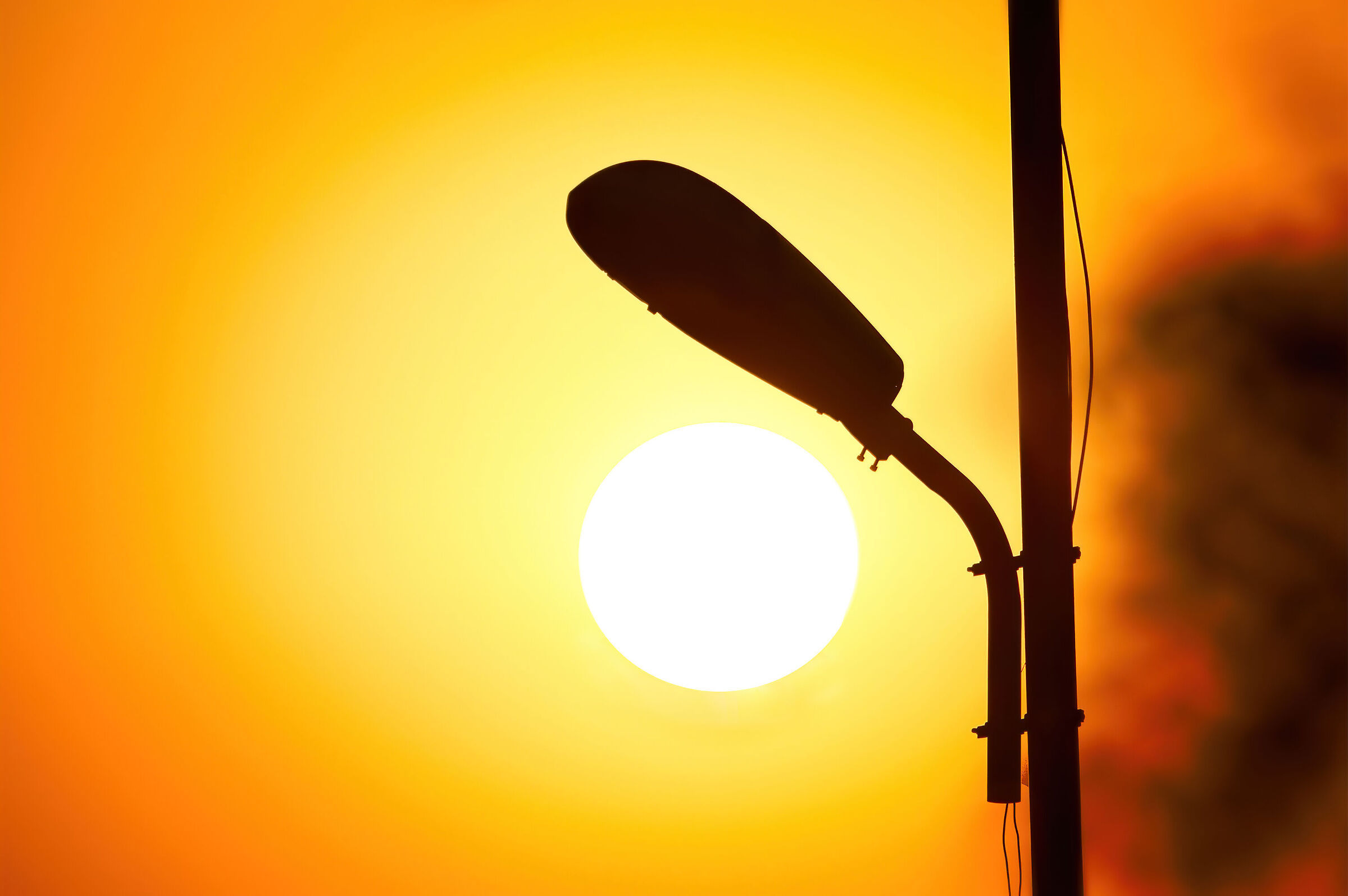 Lights, natural and man-made