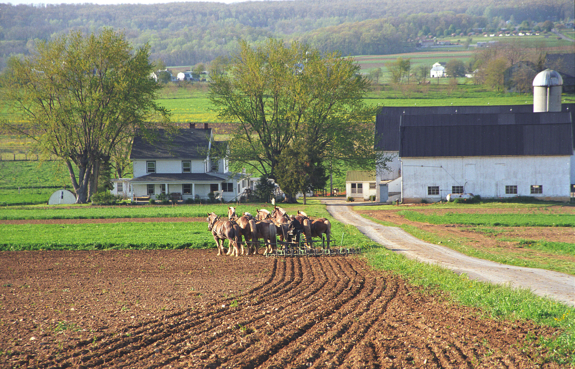 agricoltura amish a Lancaster - Pennsylvania
