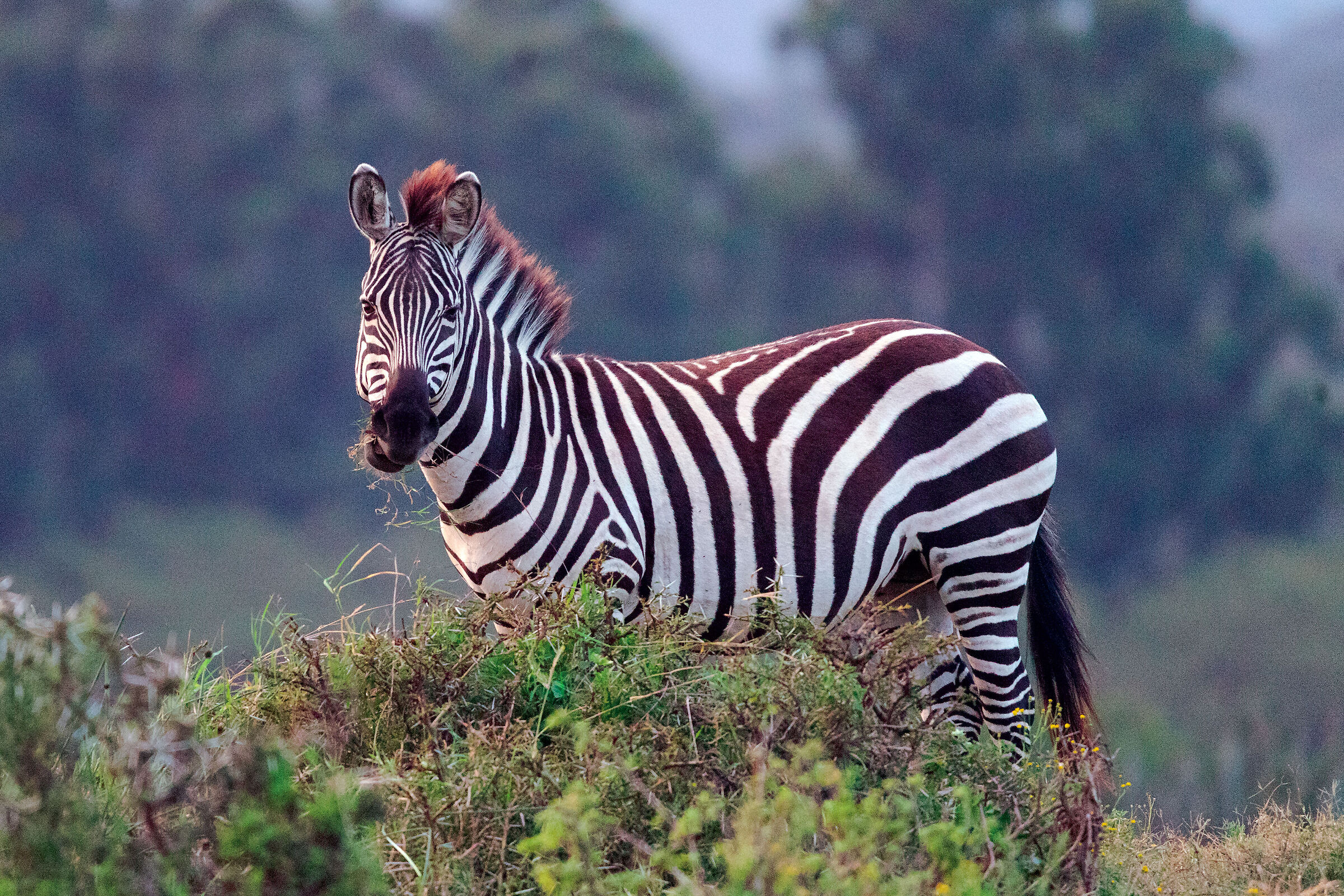 Are you talking to me?