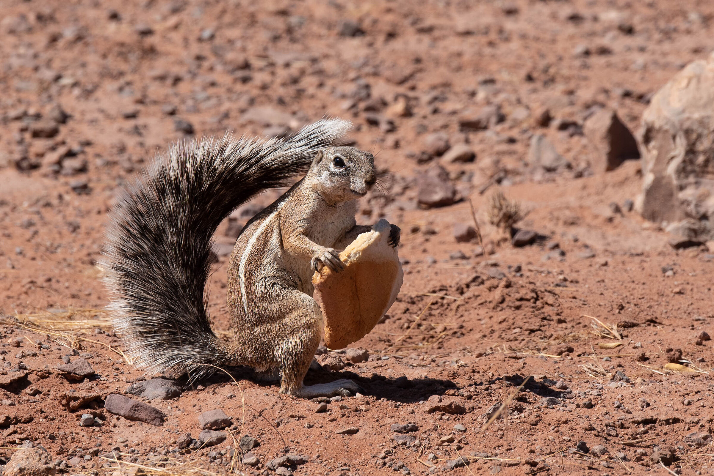 E anche oggi si mangia!!