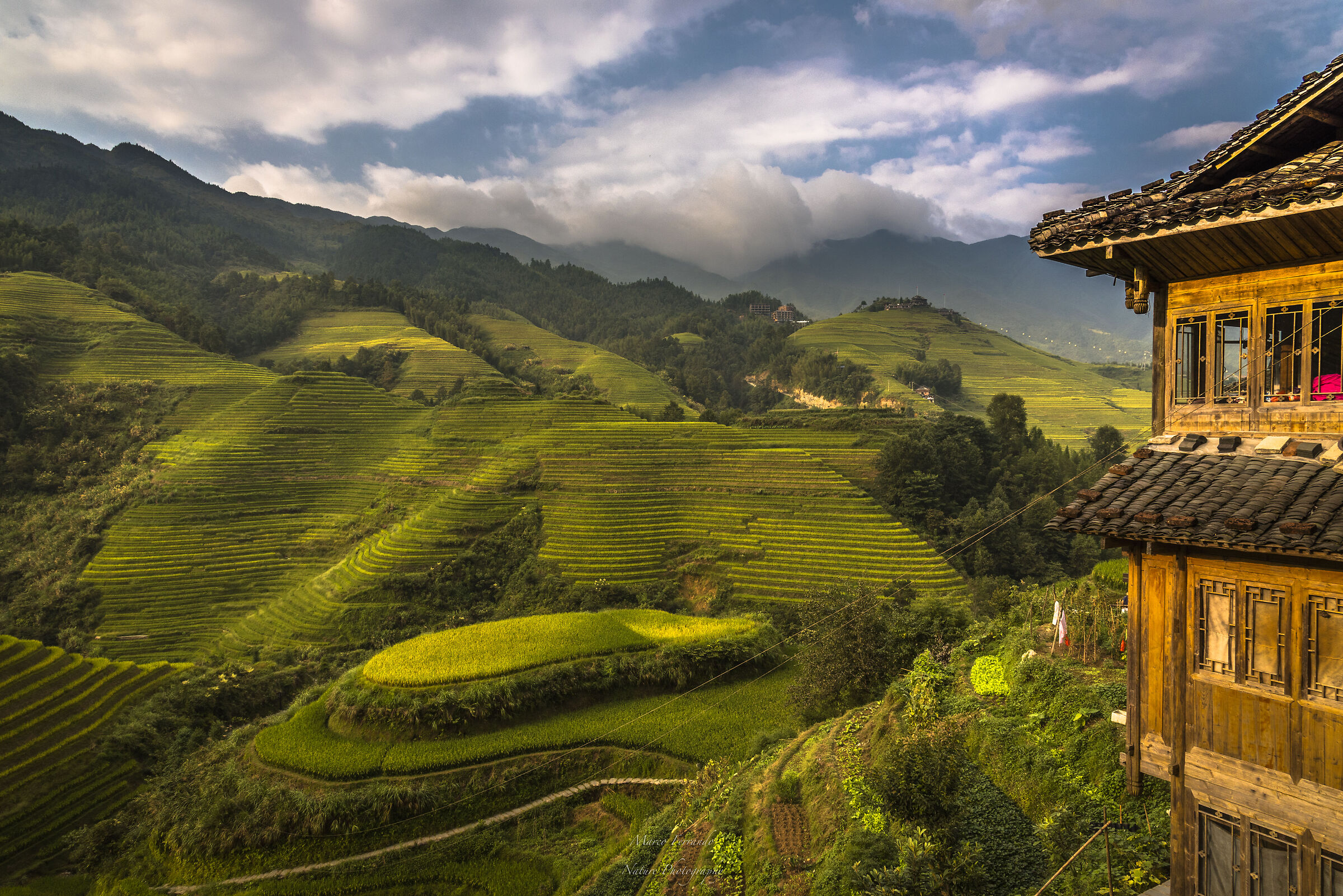Risaie di Longji, regione dello Guangxi