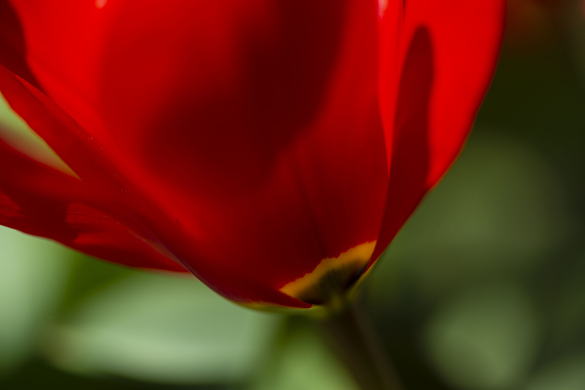 Focal point