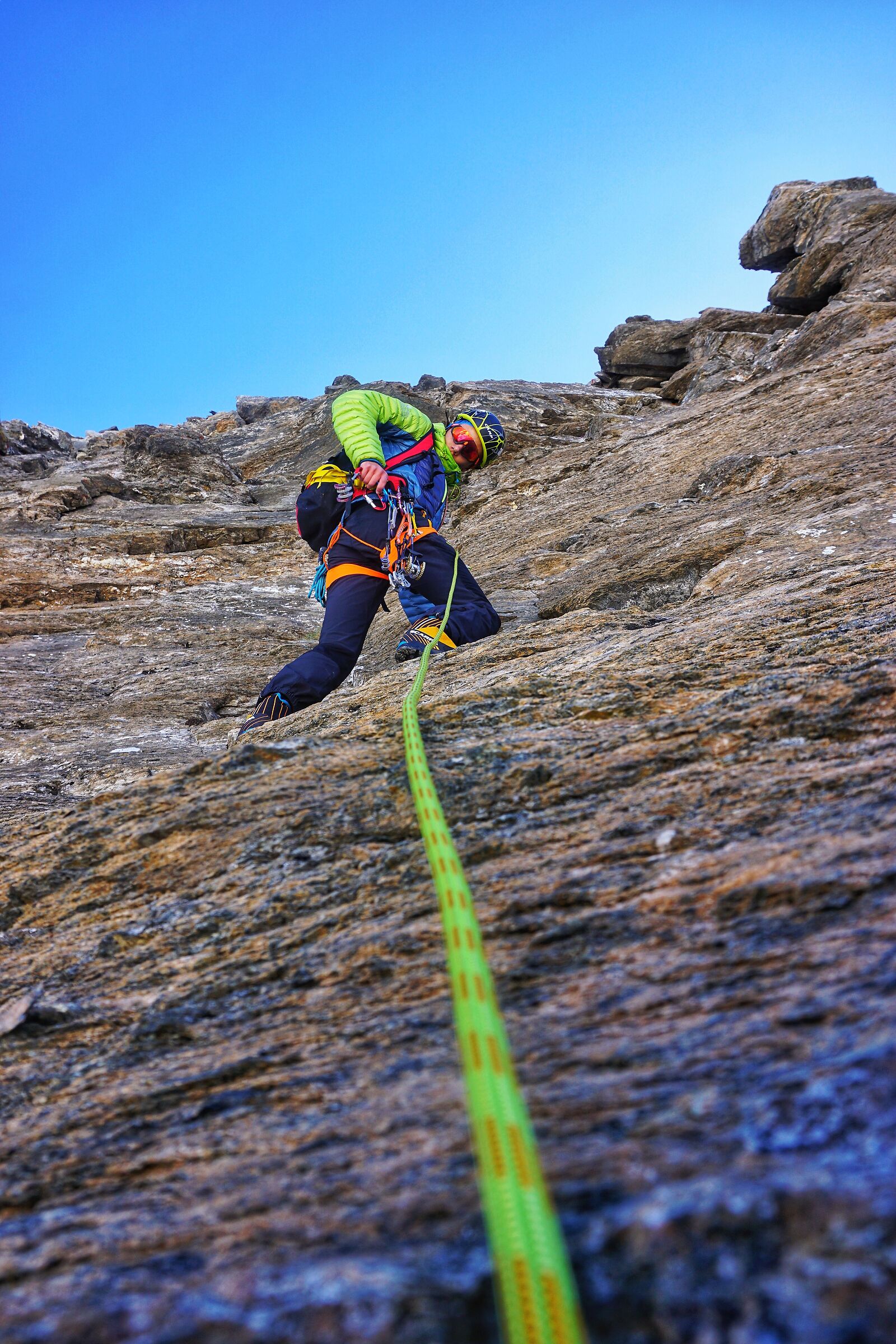 Becca del merlo 2020