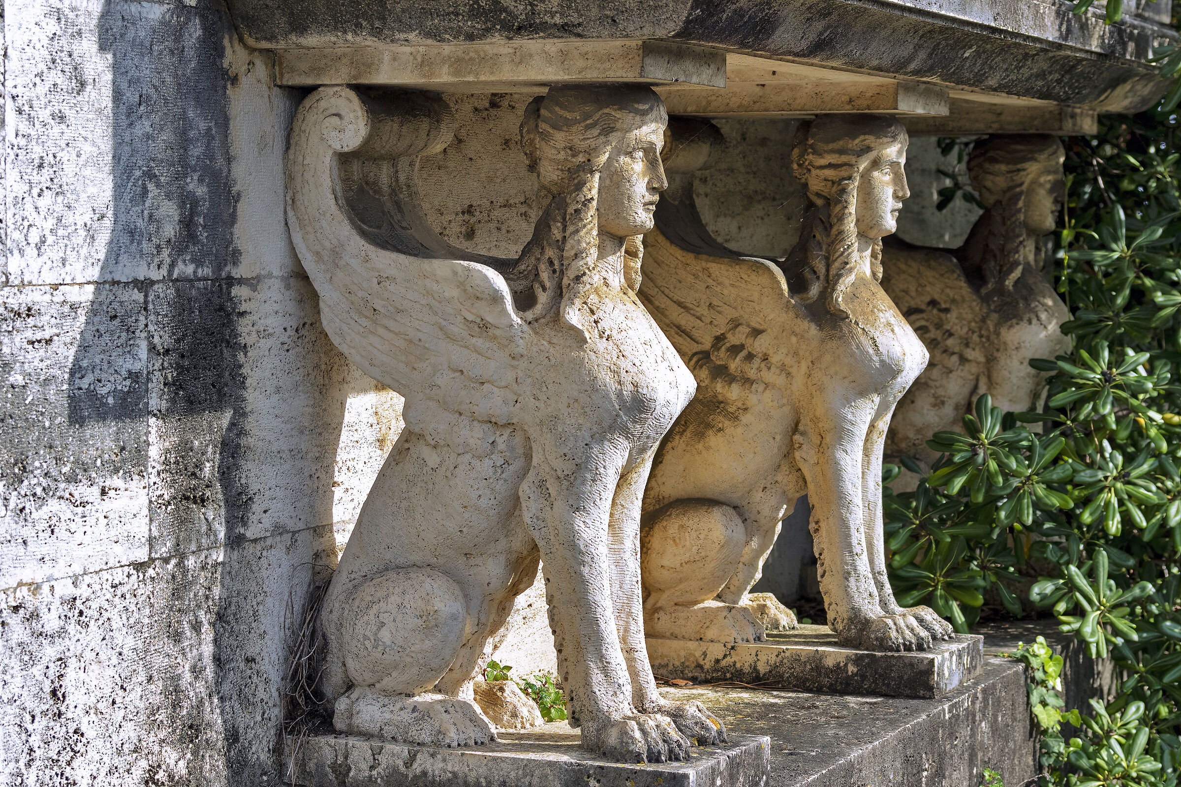 L'enigma delle sfingi