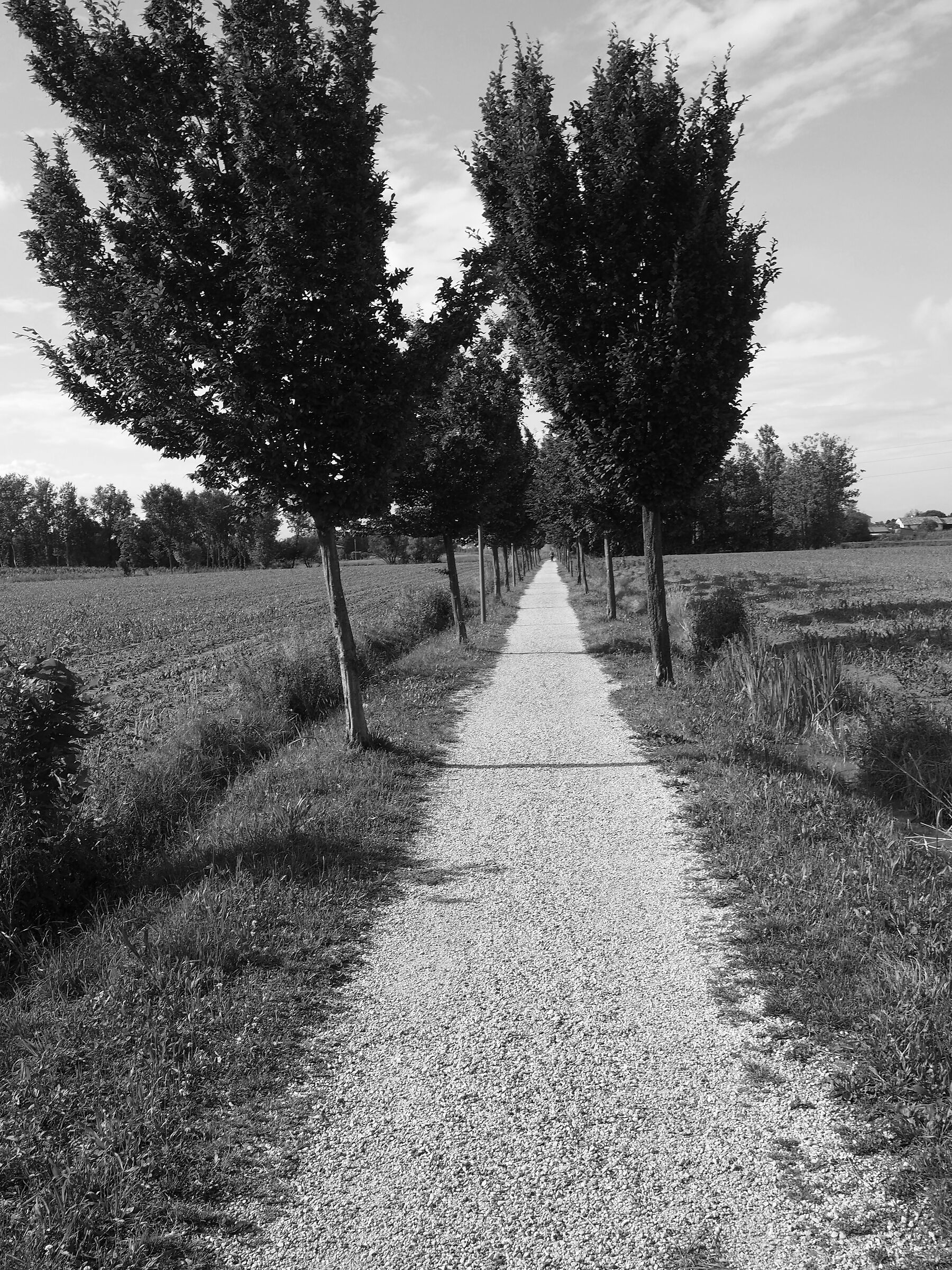 Le strade di campagna