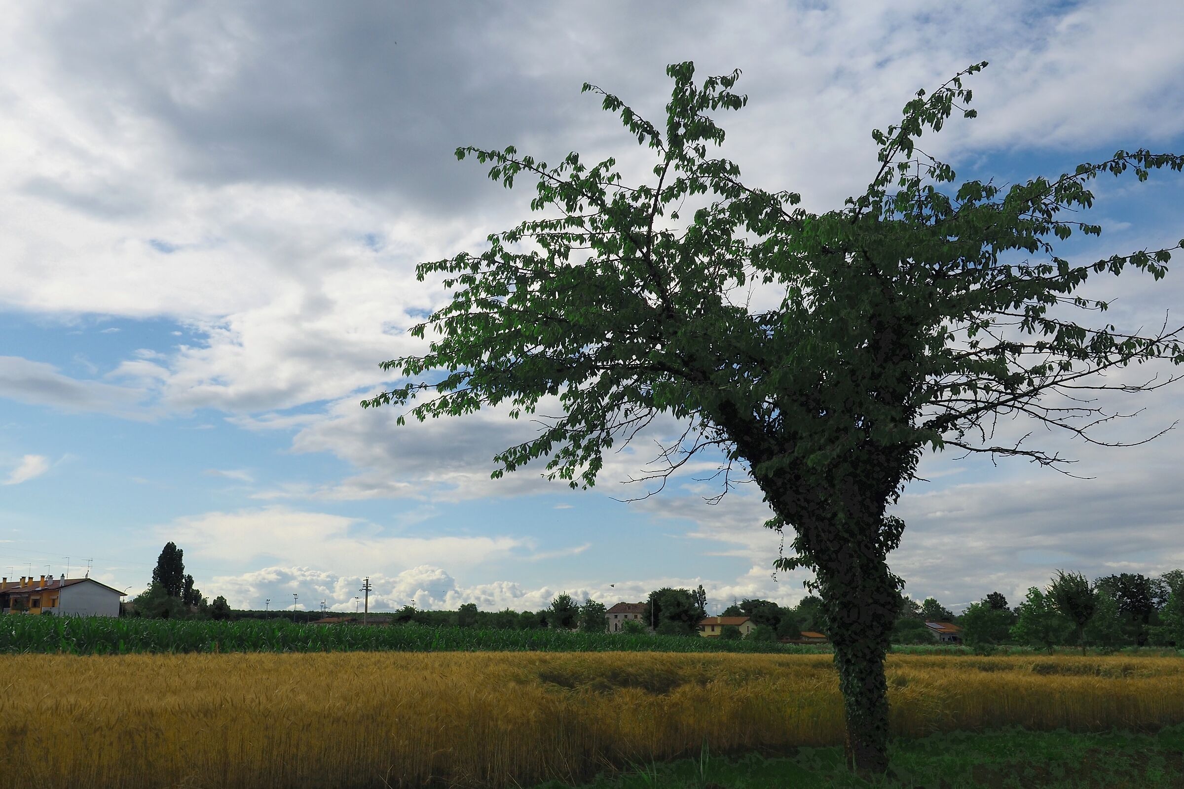 Il cielo e la natura