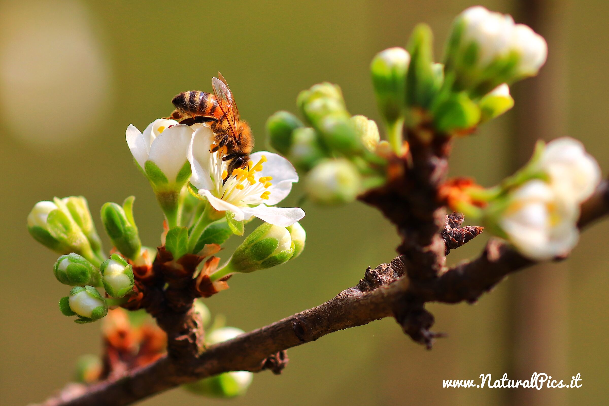 la nostra vita.. anche grazie a questo piccolo essere..