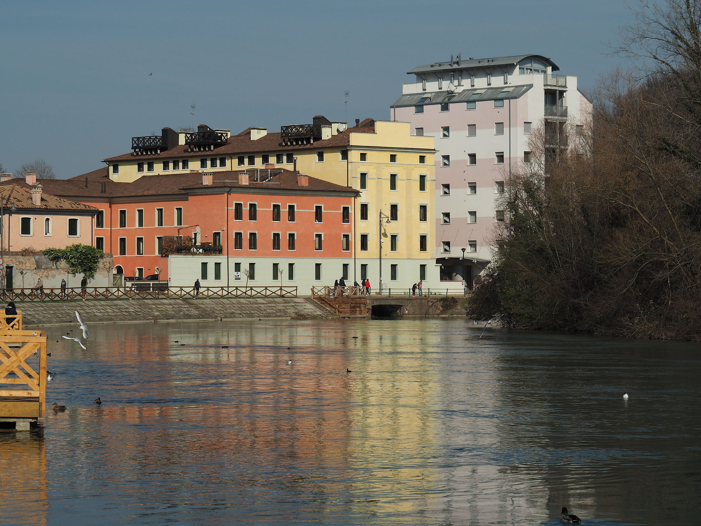 Passegiando di domenica in zona arancio lungo il SIle