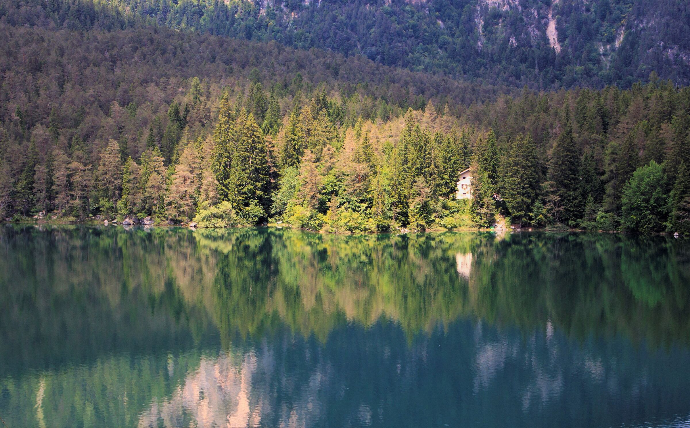 The House on the Lake