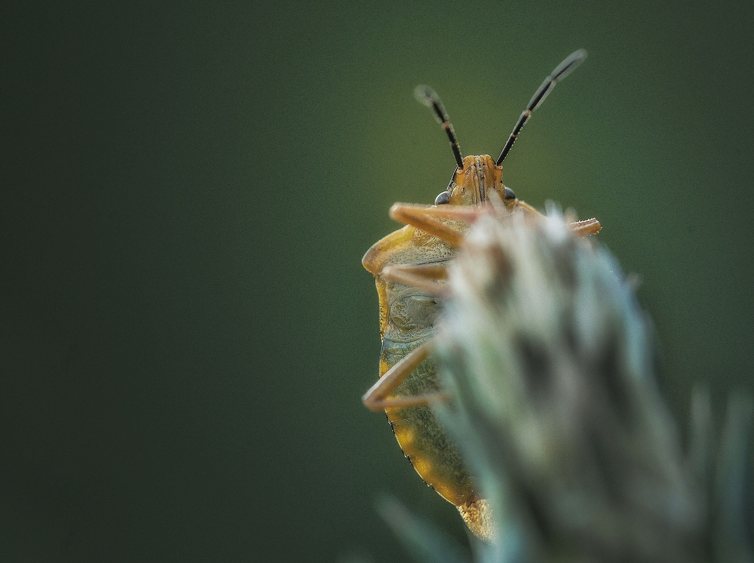 Raggiungere la vetta