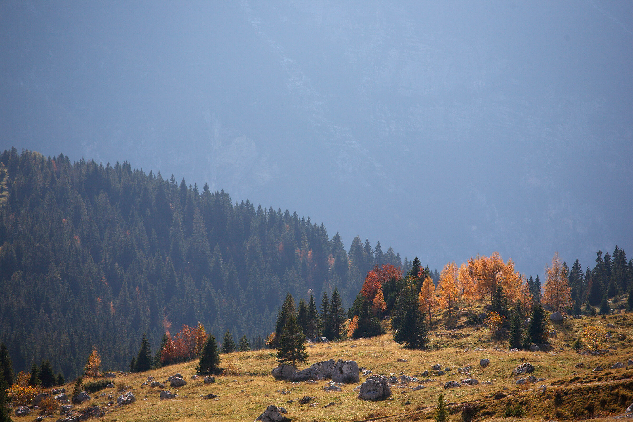 autunno