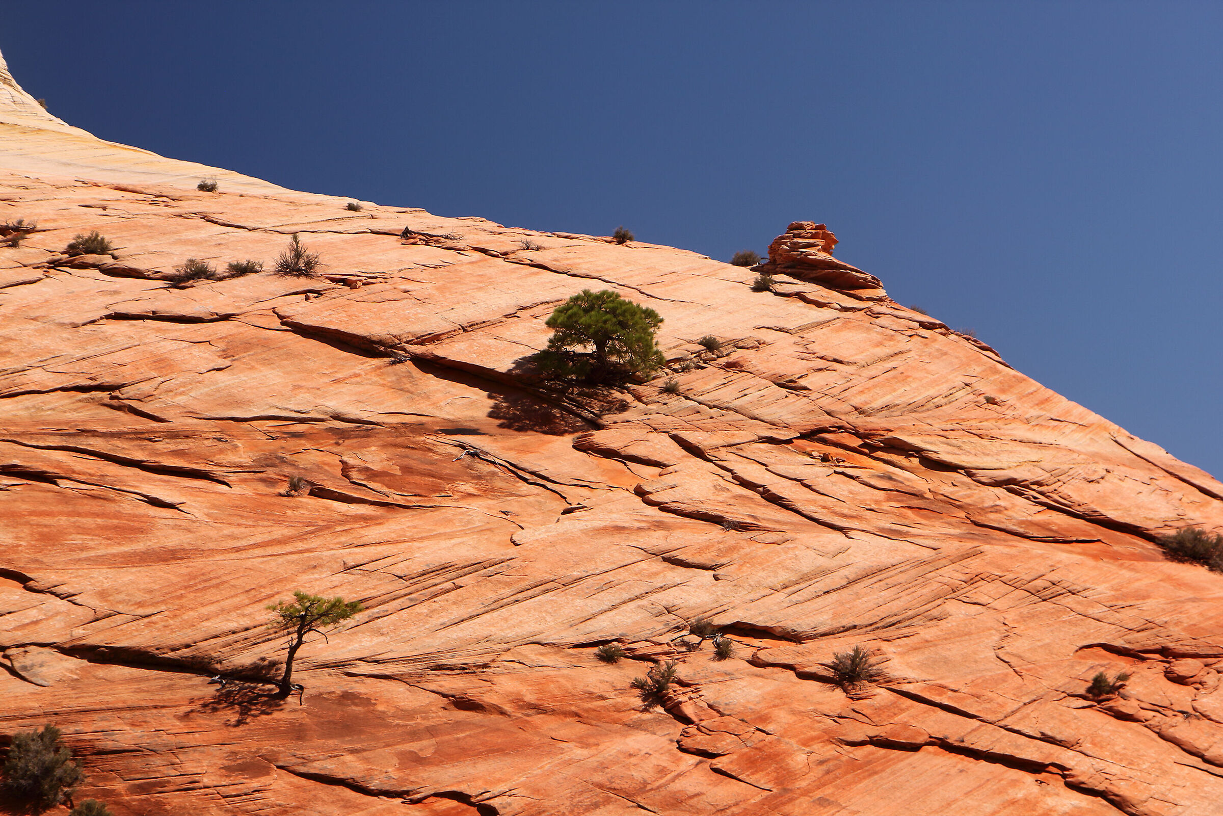 placche nello Zion N. P.