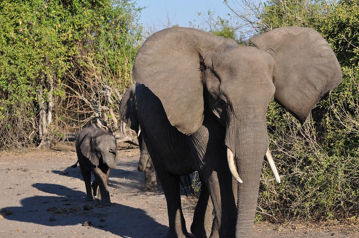 Ora mi avvicino io...