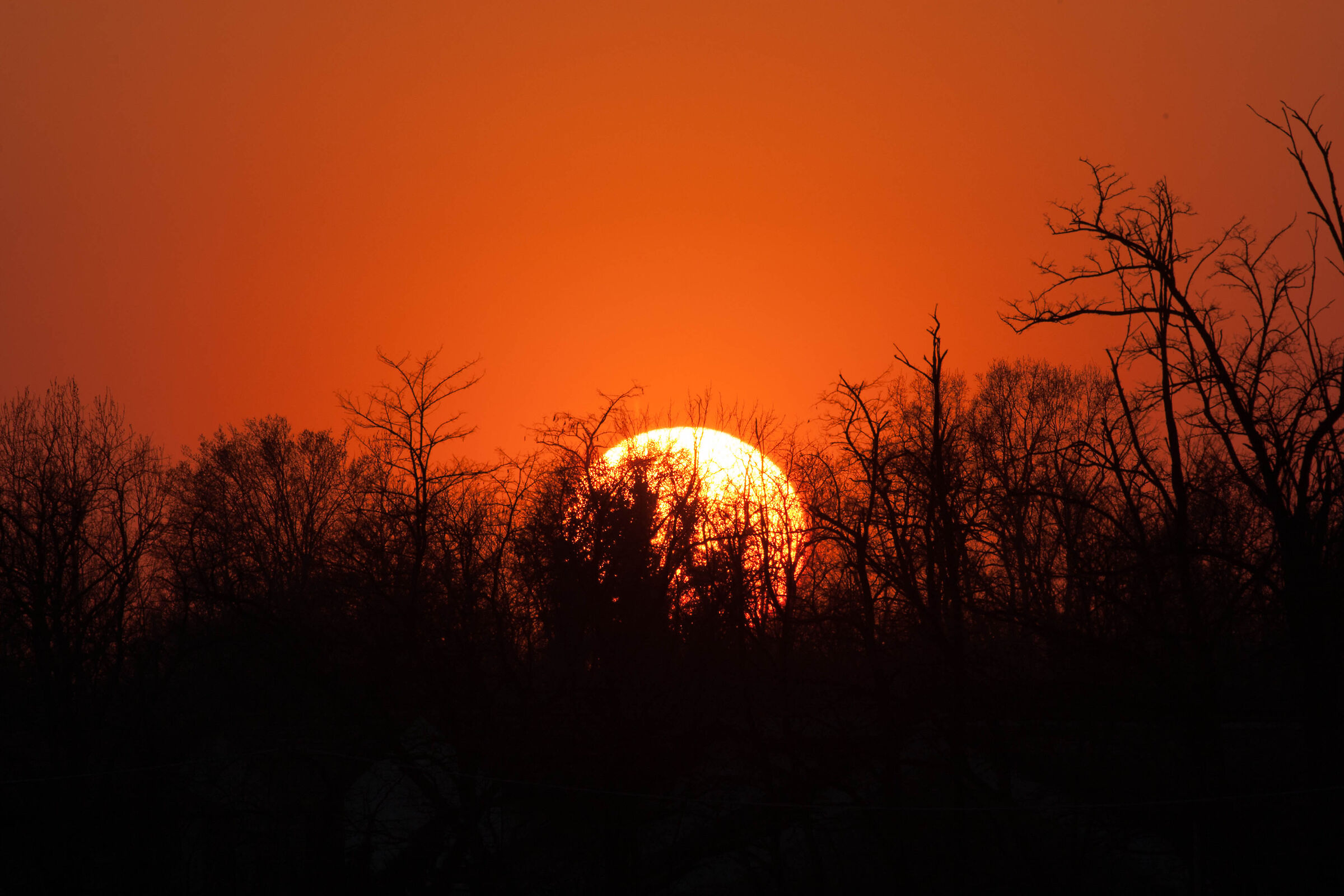 Come un sole Rosso acceso..Arde per me.......