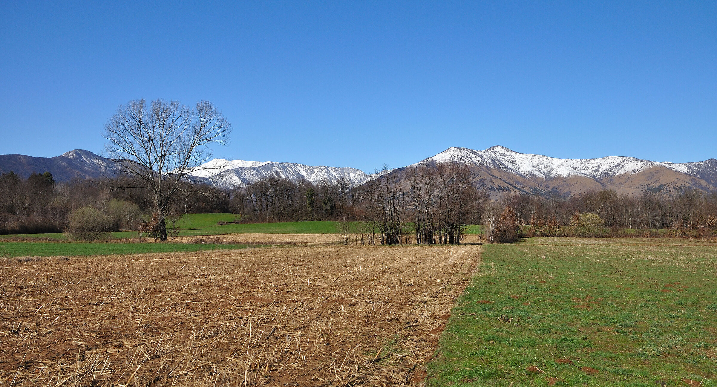 The pleasure of observing...