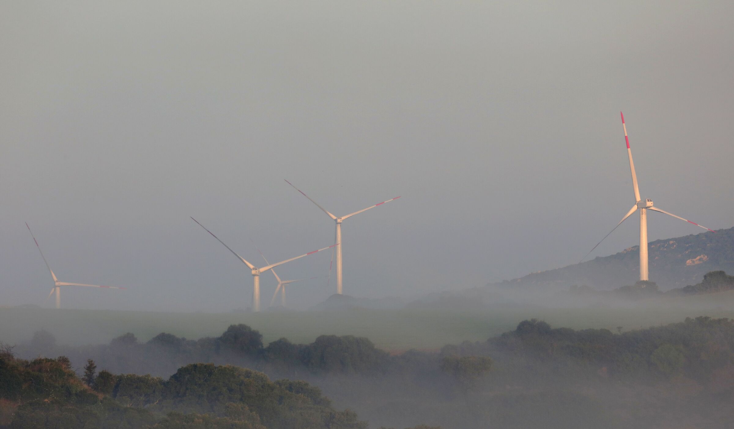 Pale eoliche nella nebbia