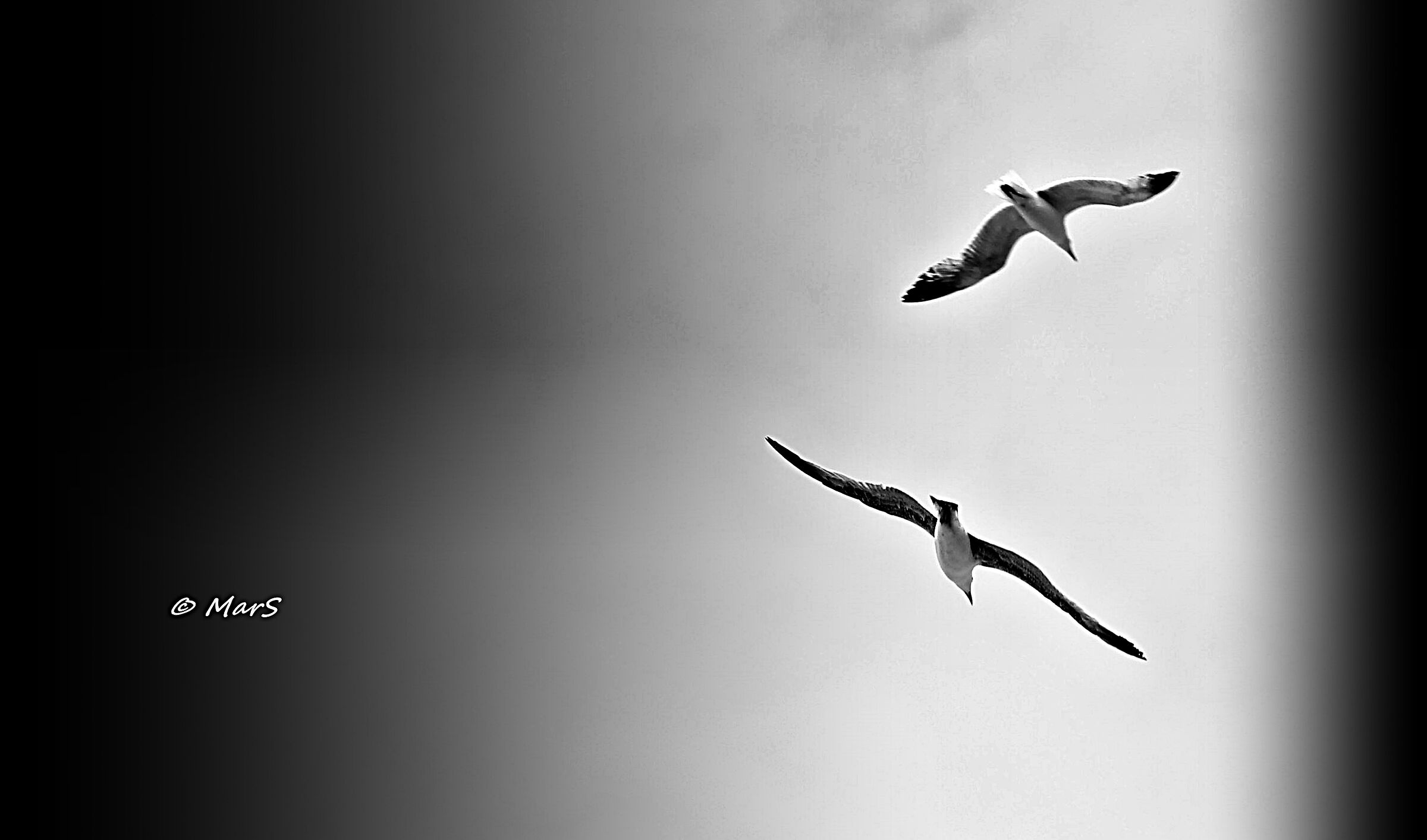 Untitled Photo