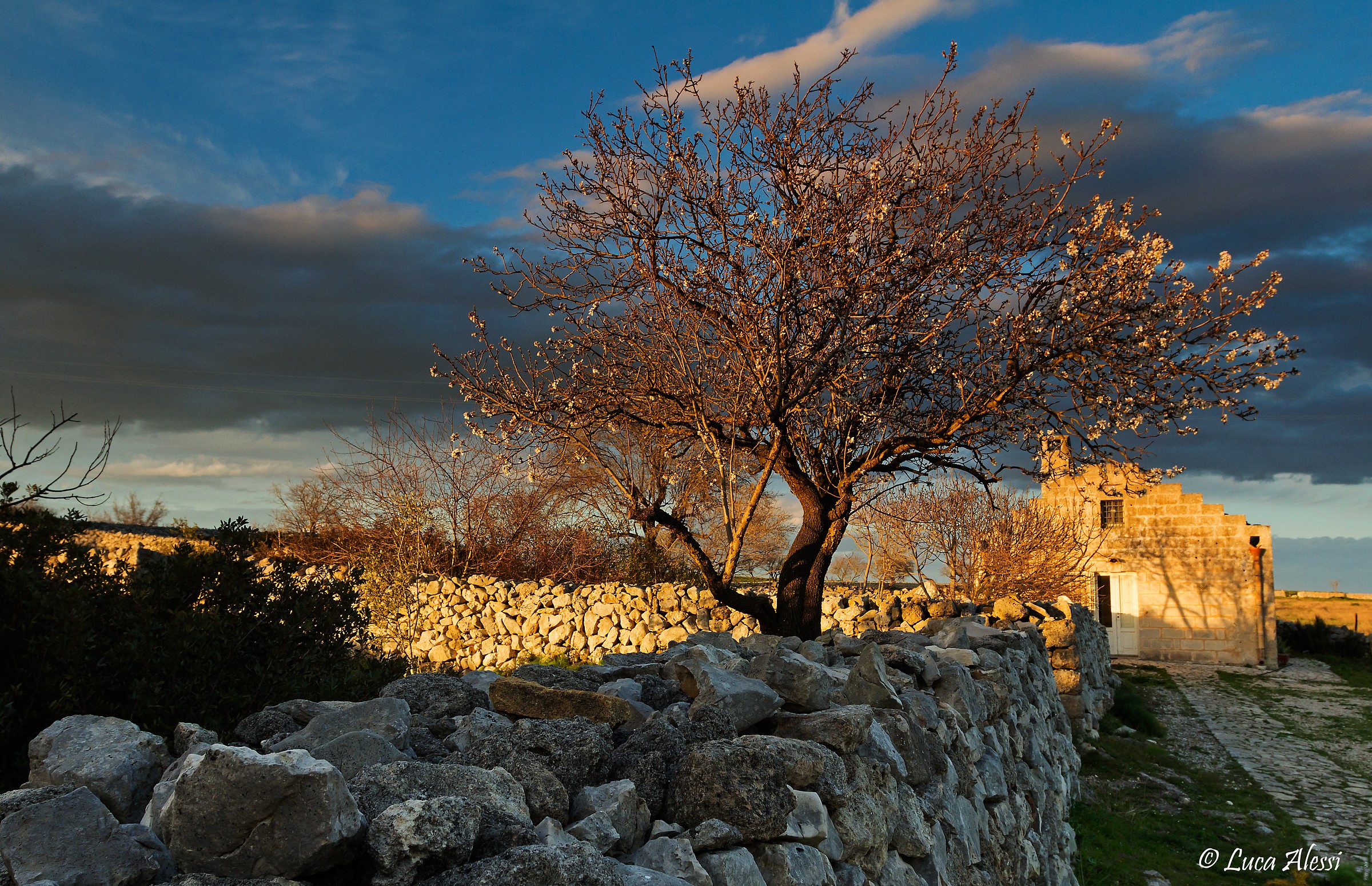 I caldi colori del sud