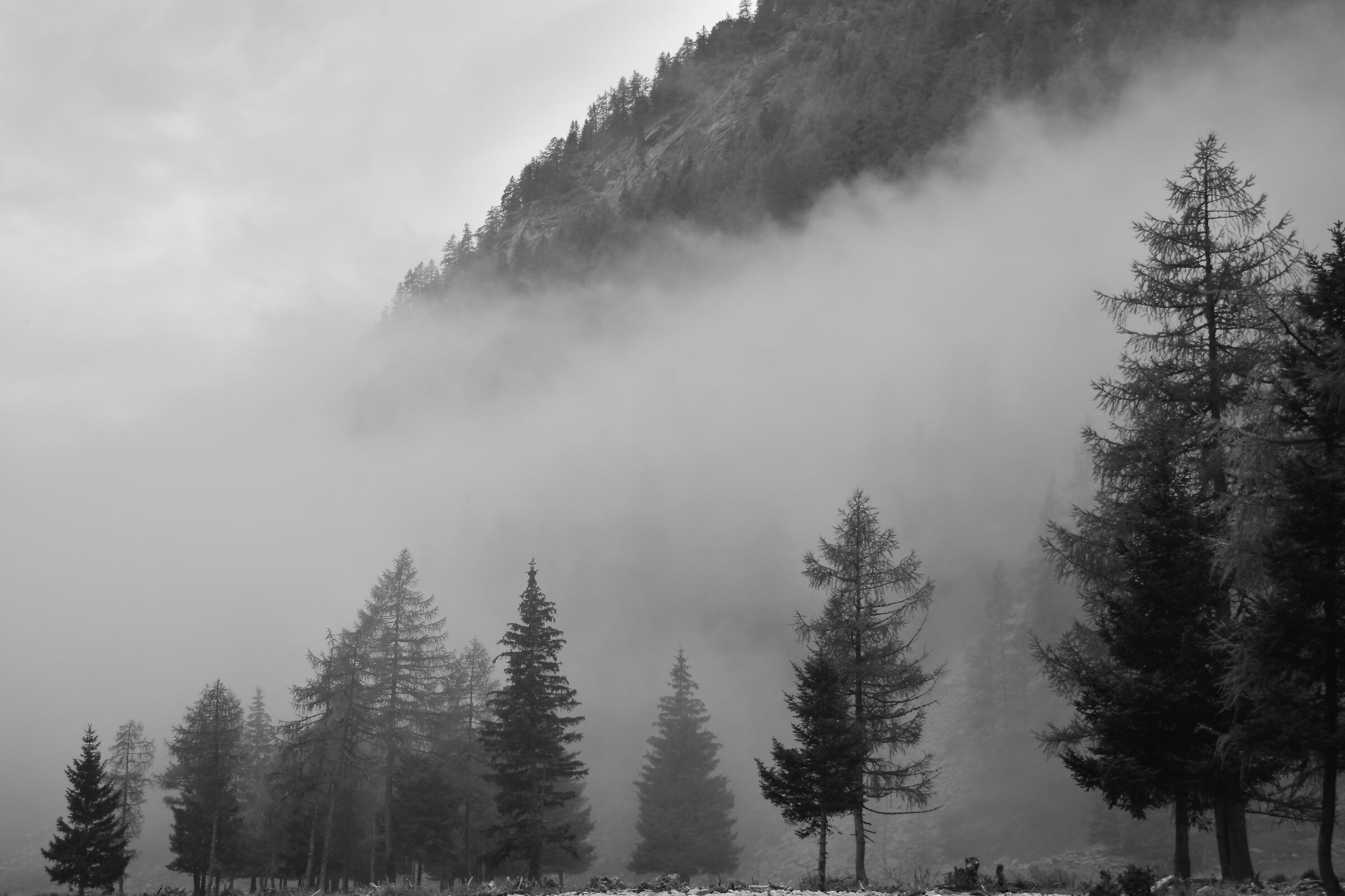 Fog in Val Fontana