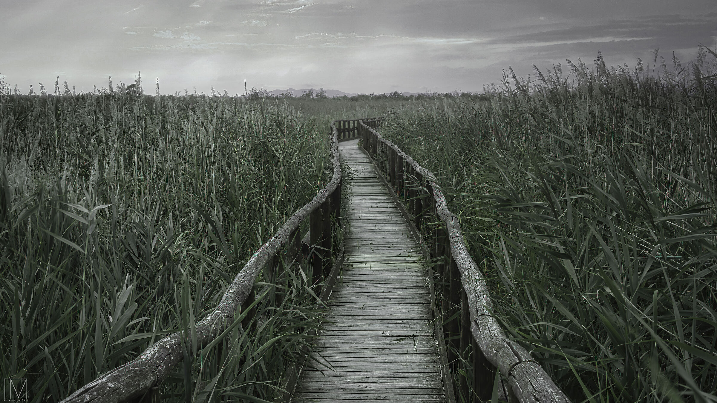 Lake Oasis of Massaciuccoli