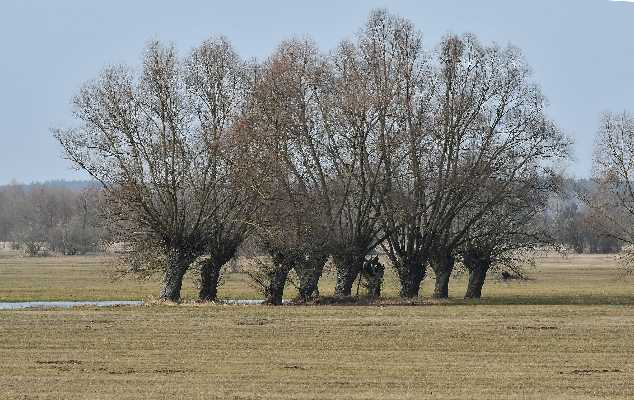 La valle del fiume Bug