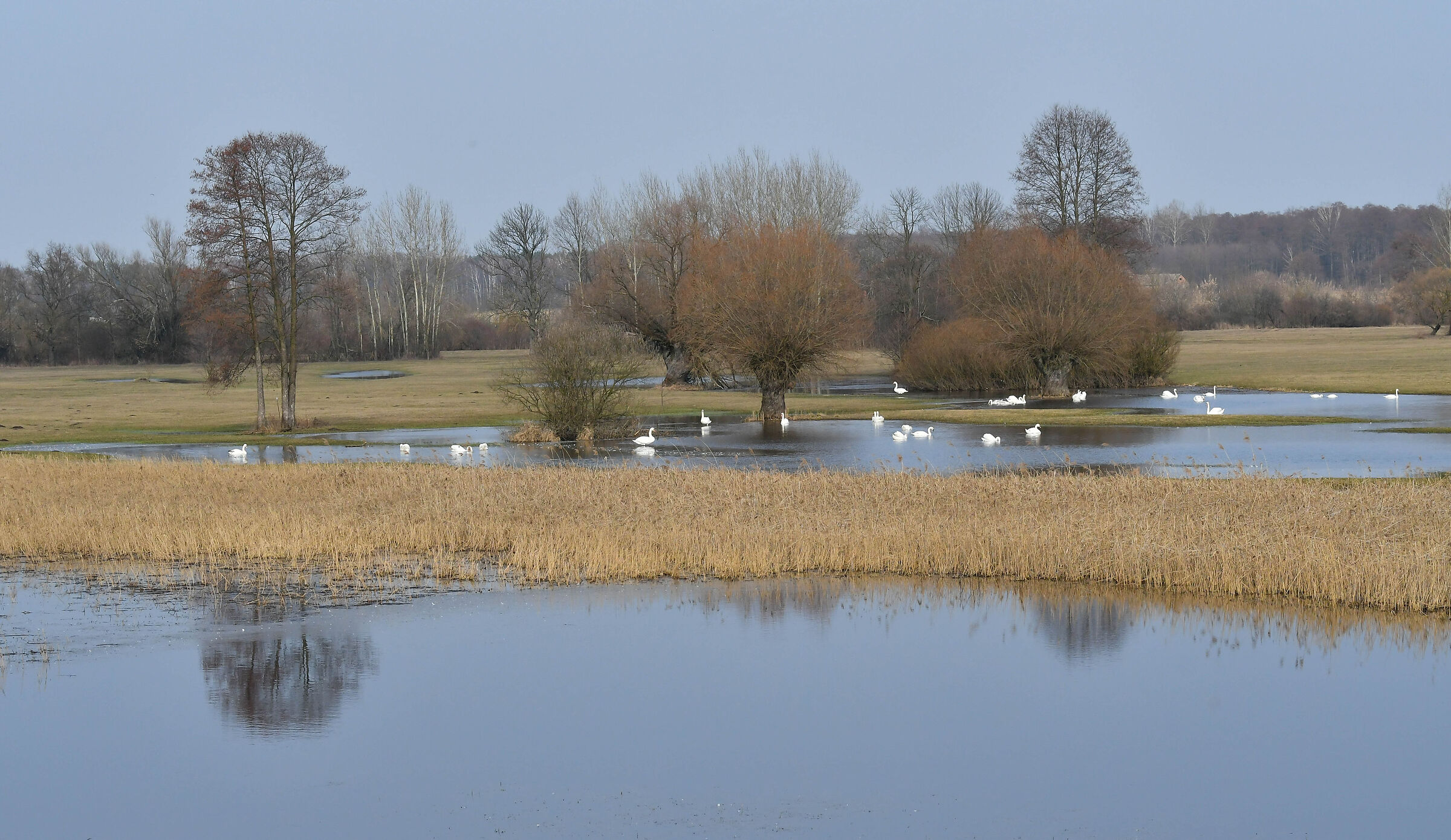 La valle del fiume Bug
