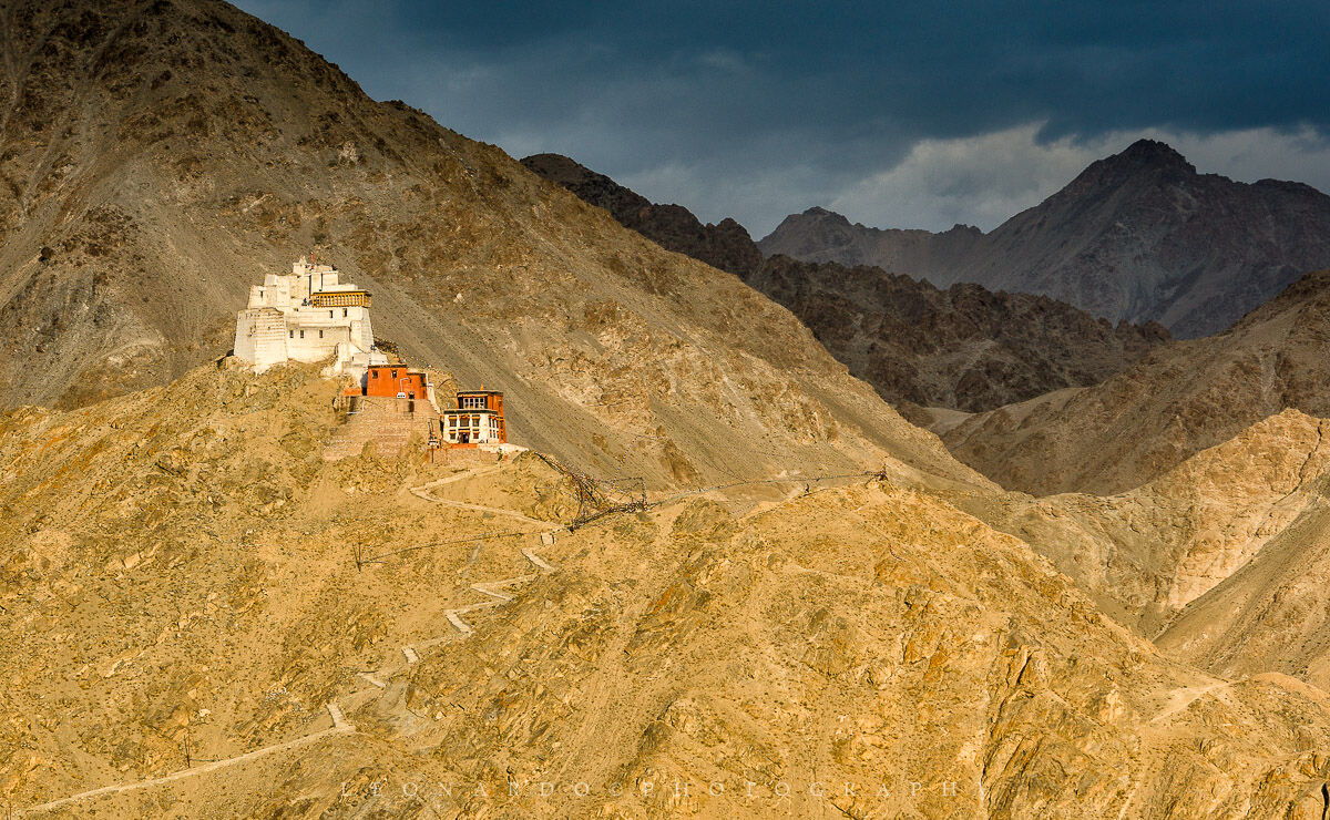 Namgyal Tsemo Gompa a Leh (Ladakh)