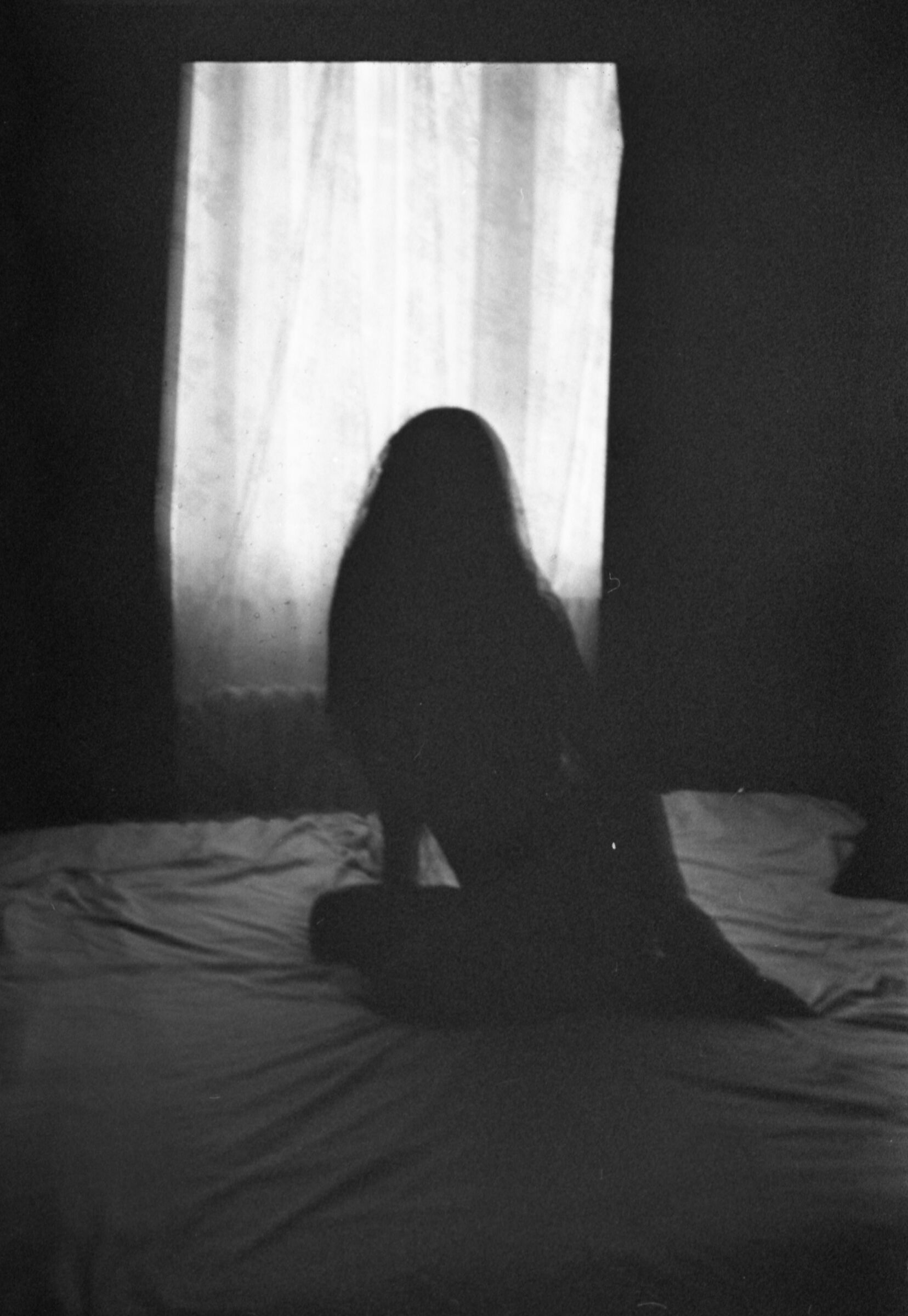 La Donna Velata