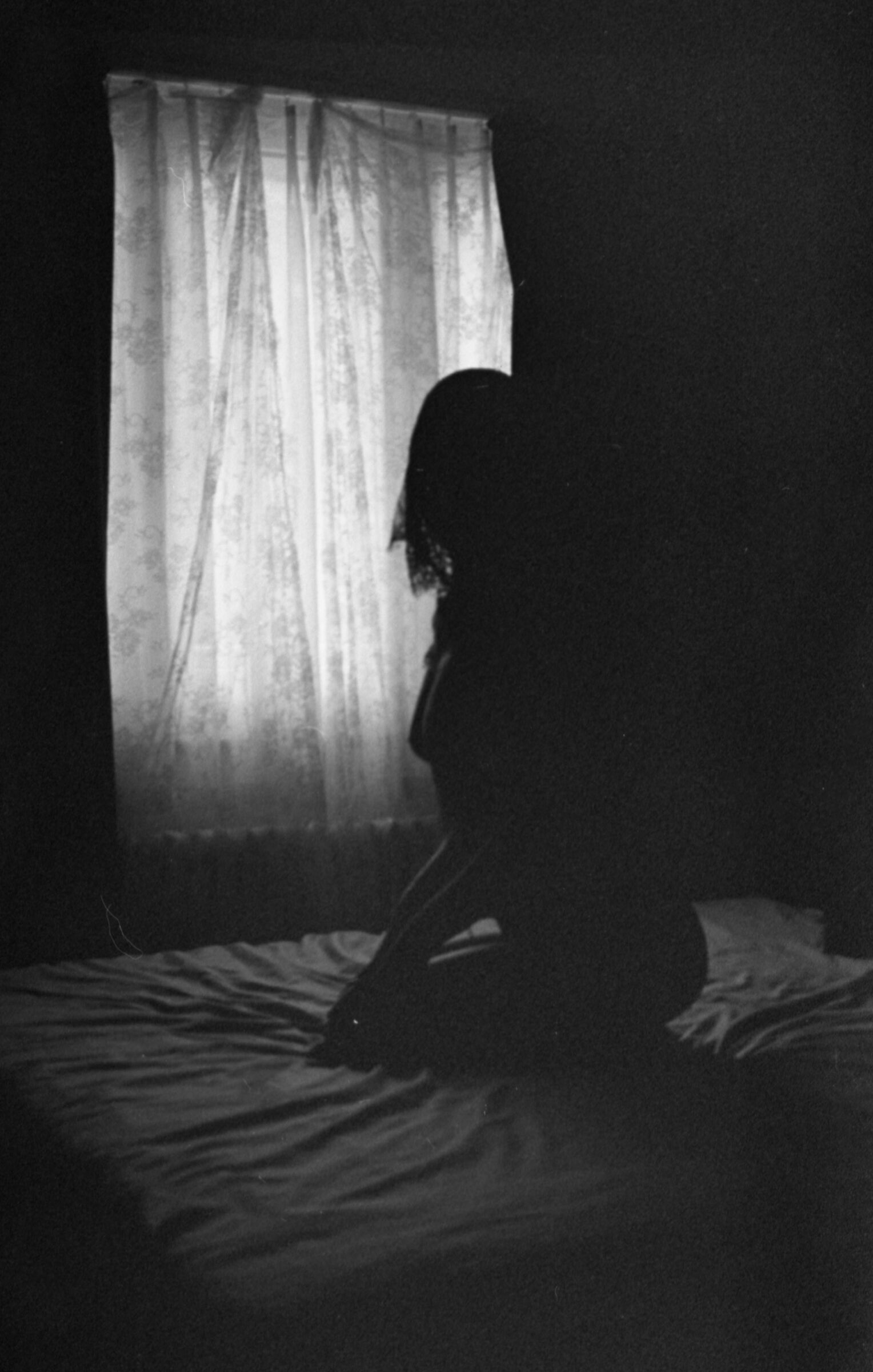 La donna velata II