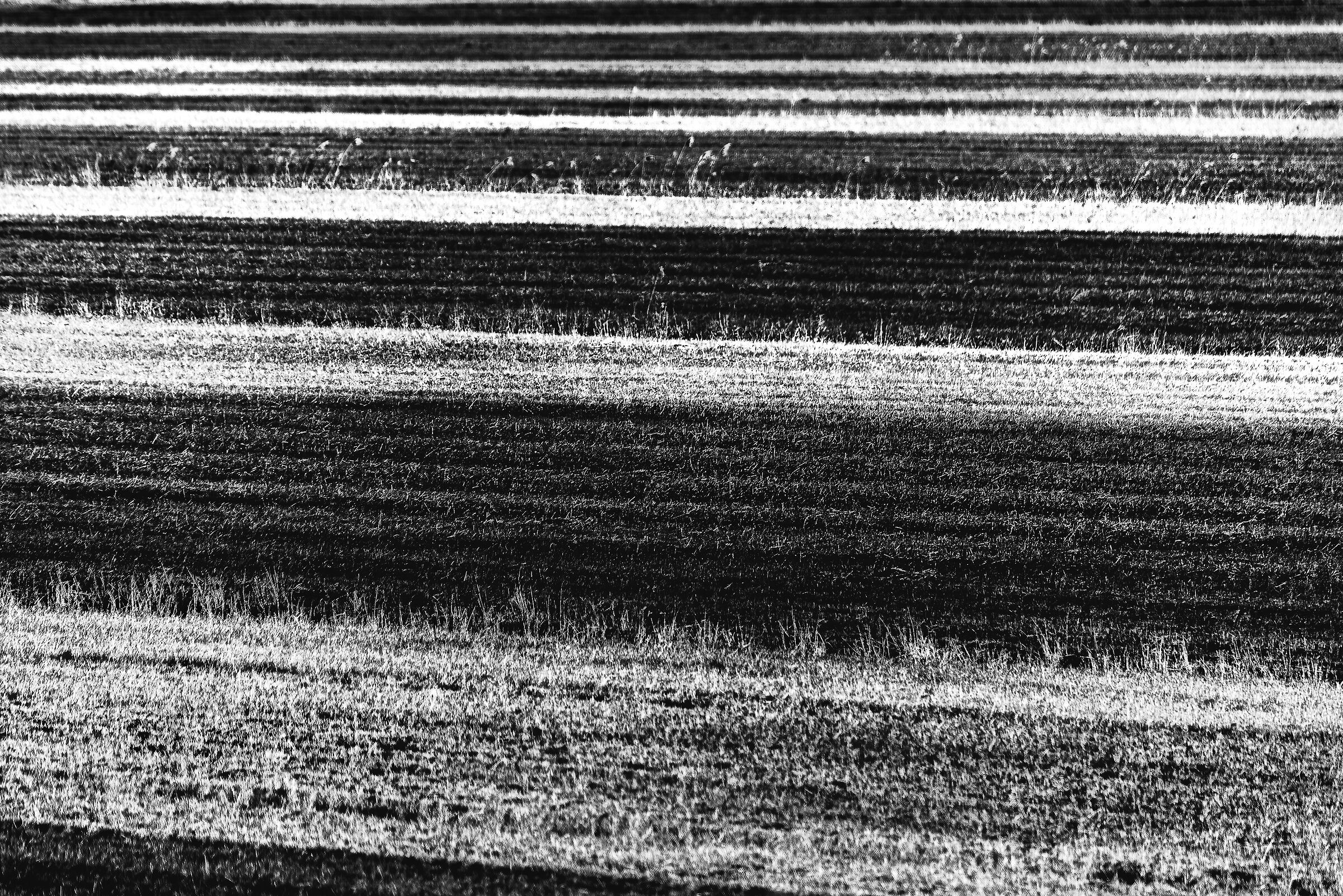 agricultural nuances