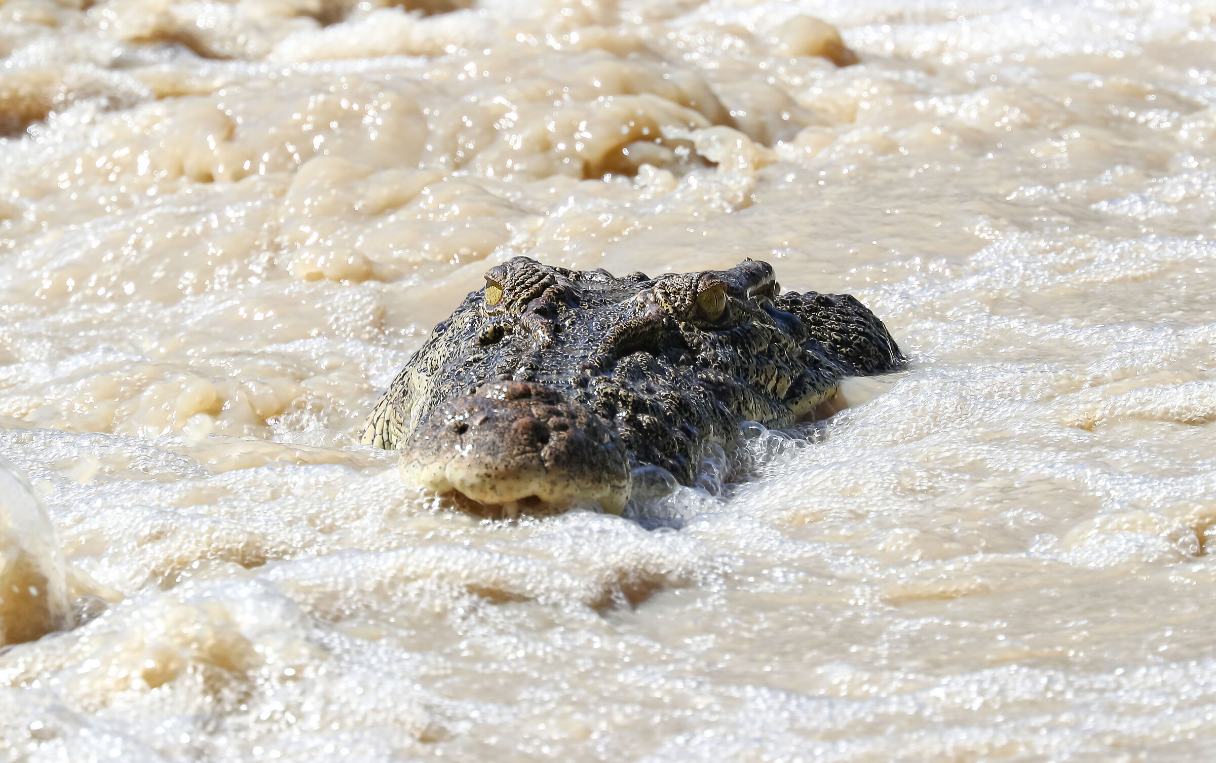 Kakadu National Park Australia