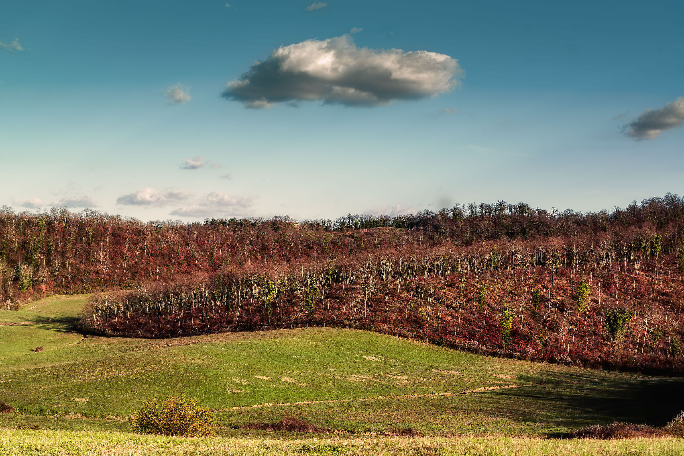 Southern Valdichiana