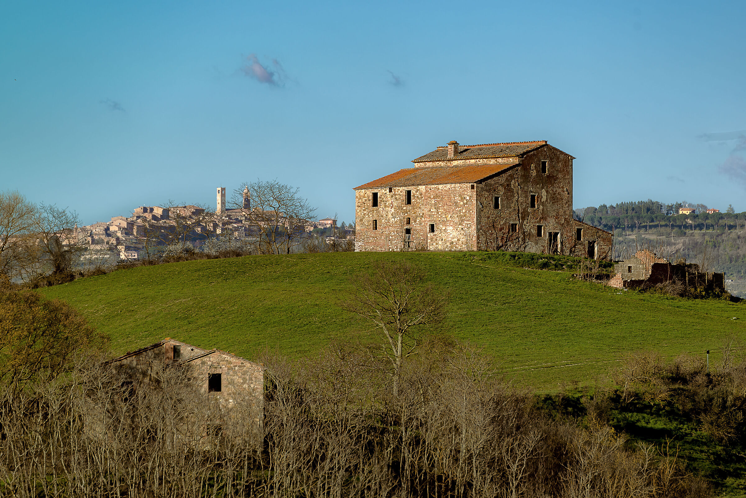 valdichiana meridionale,su sfondo citta' della pieve