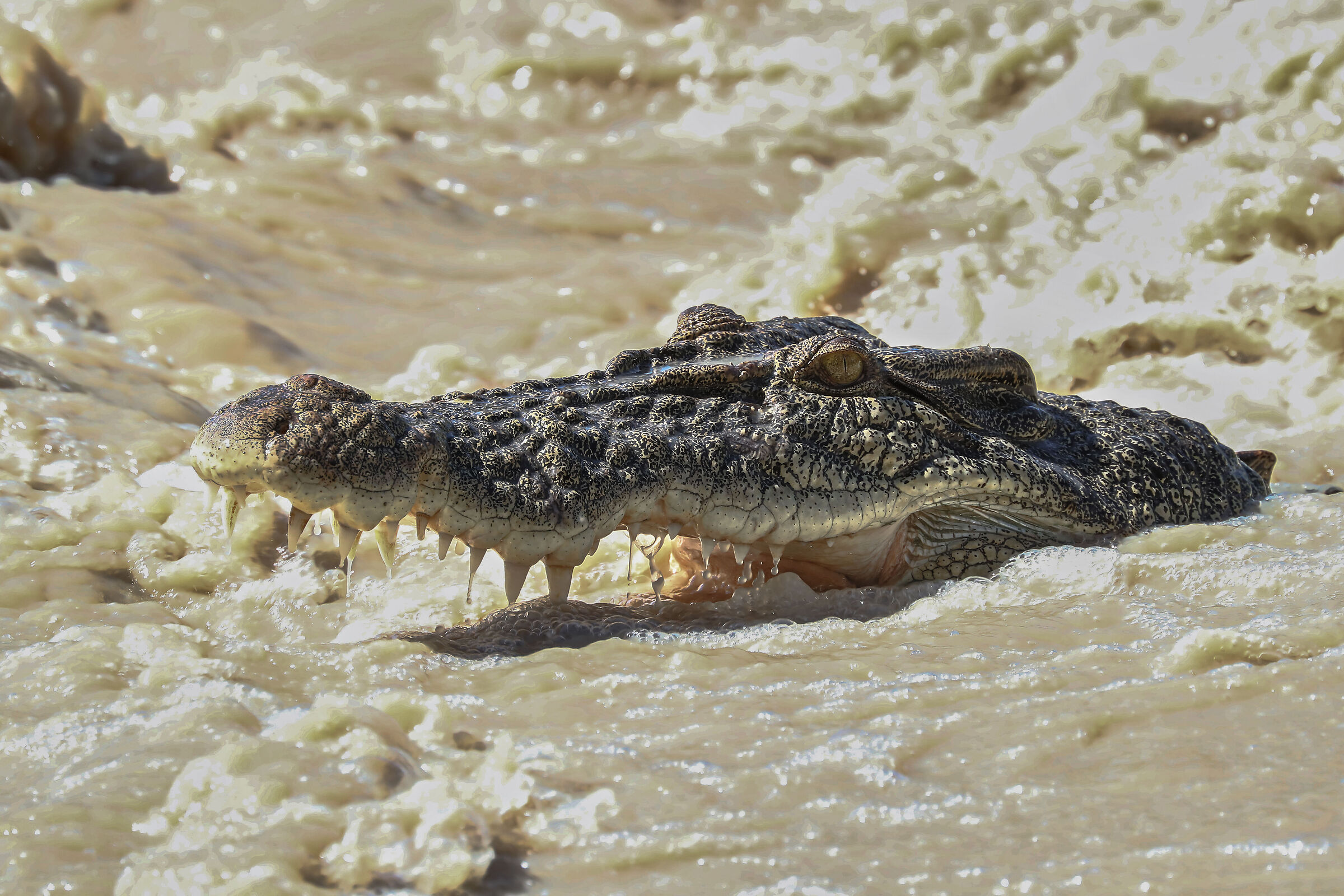 Kakadu National Park Australia