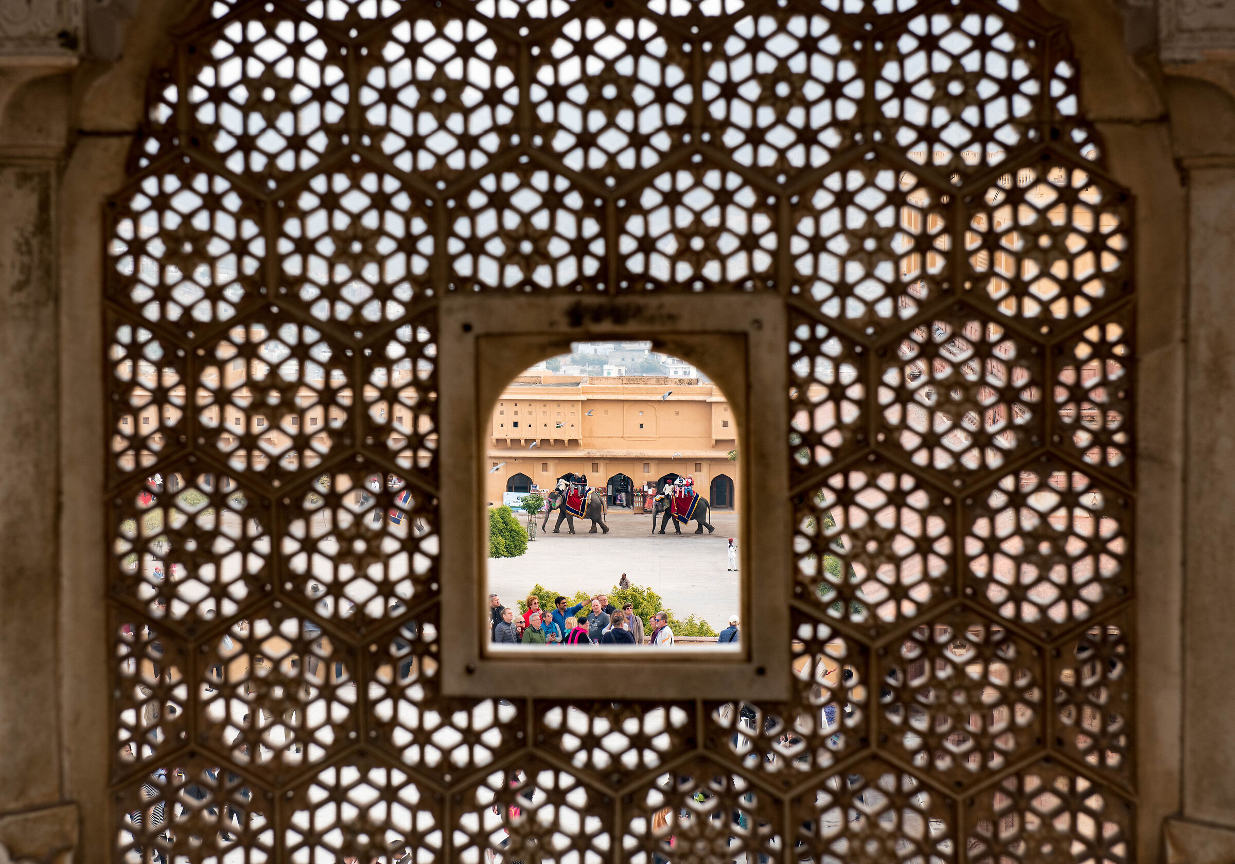 La finestra sul cortile