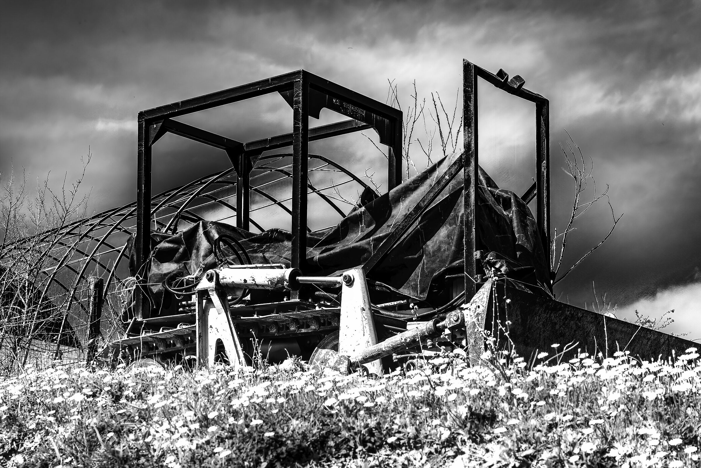 rural real geometries b&n