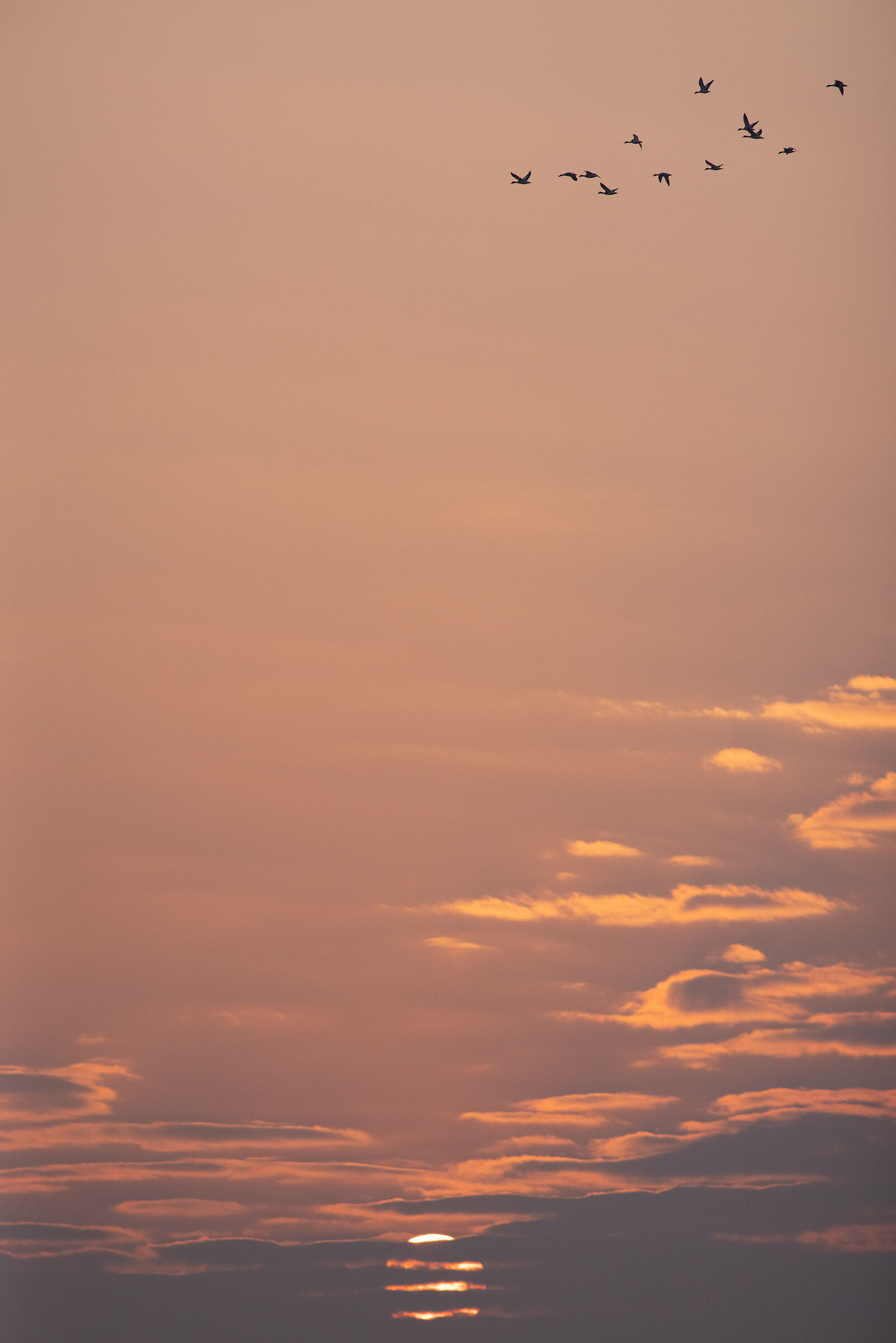 Tramonto a Comacchio