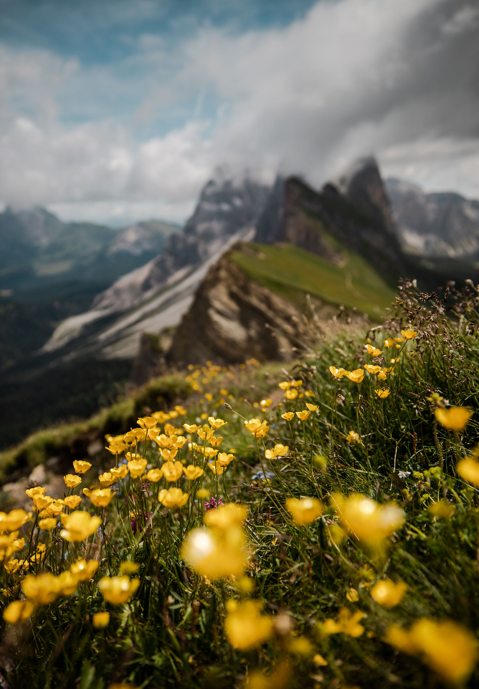 Seceda