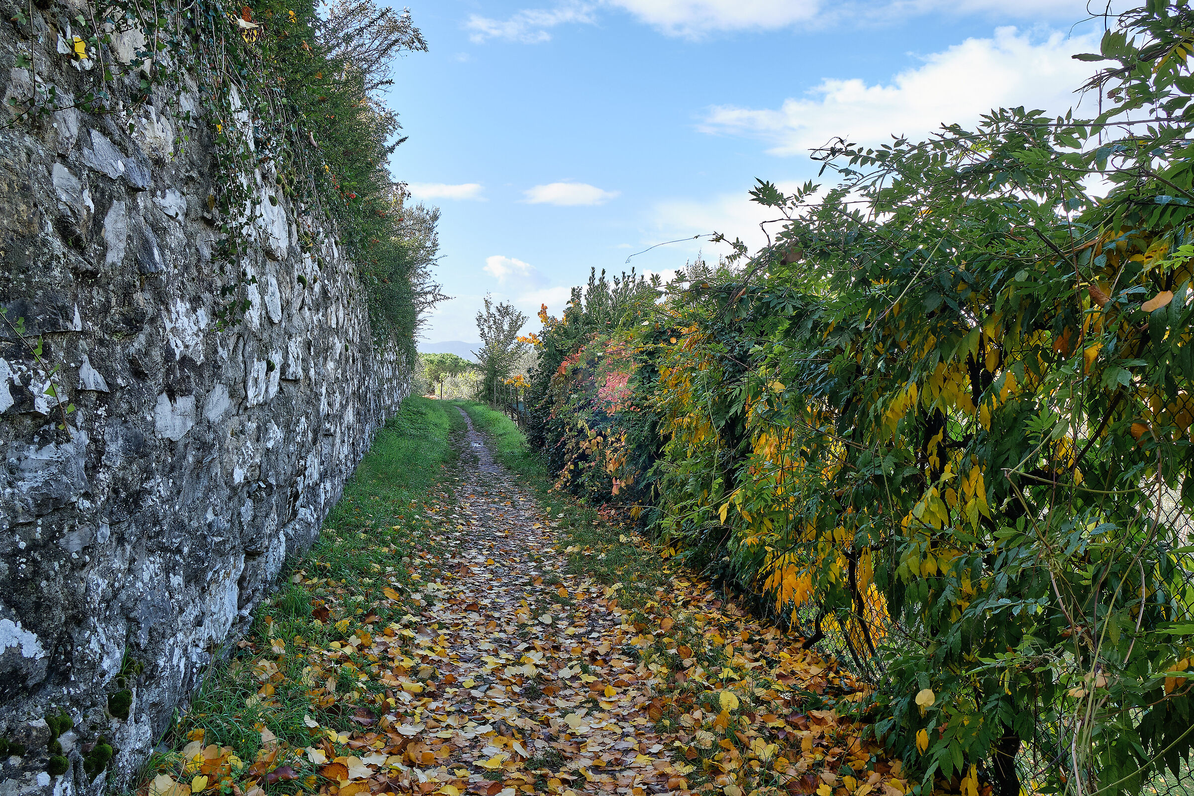 Prato - La Giolica in autumn - II