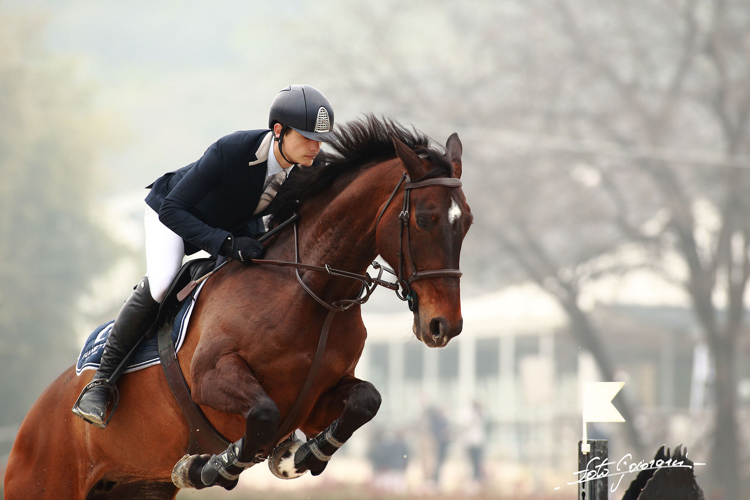 Groppoli Equestrian Center (PT) A1+ Ambassador Competition