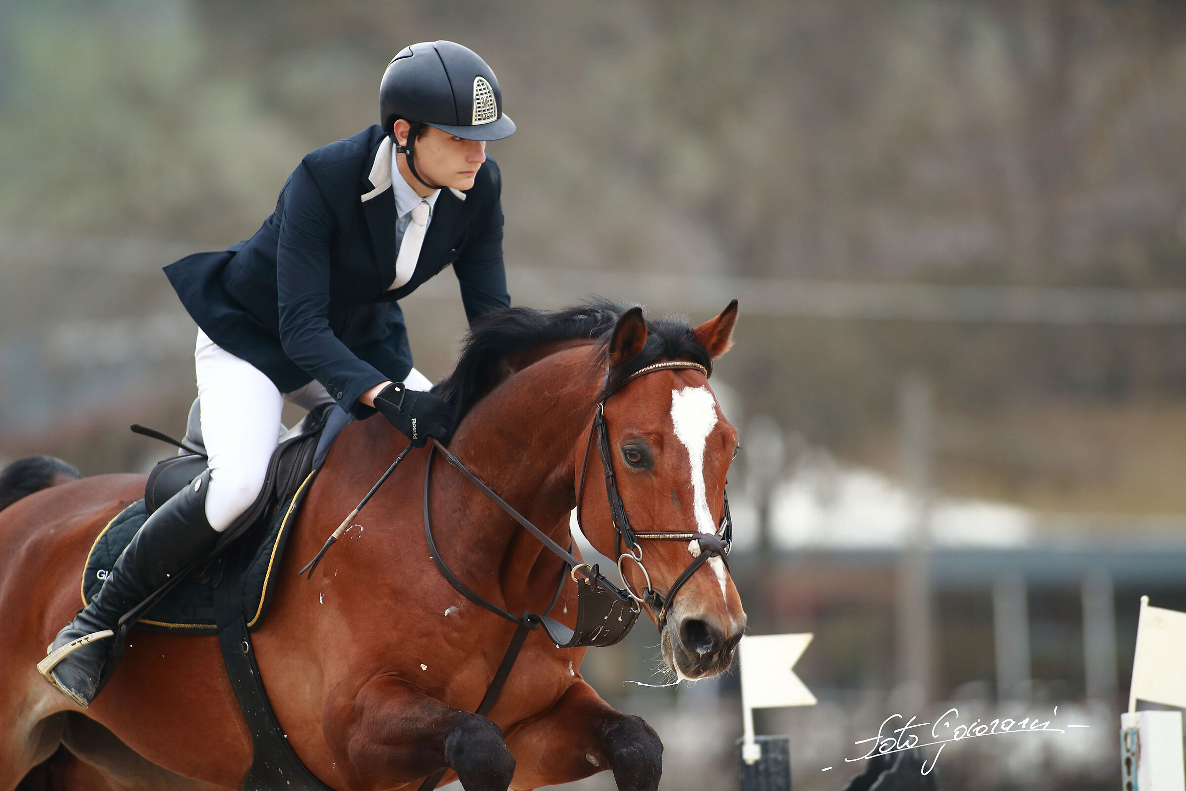 Groppoli Equestrian Center (PT) A1+ Ambassador Competition