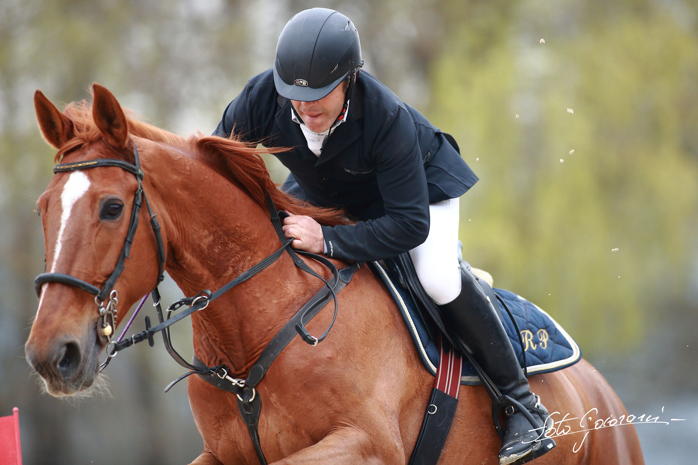 Centro Ippico Groppoli (PT) Concorso A1+ Ambassador