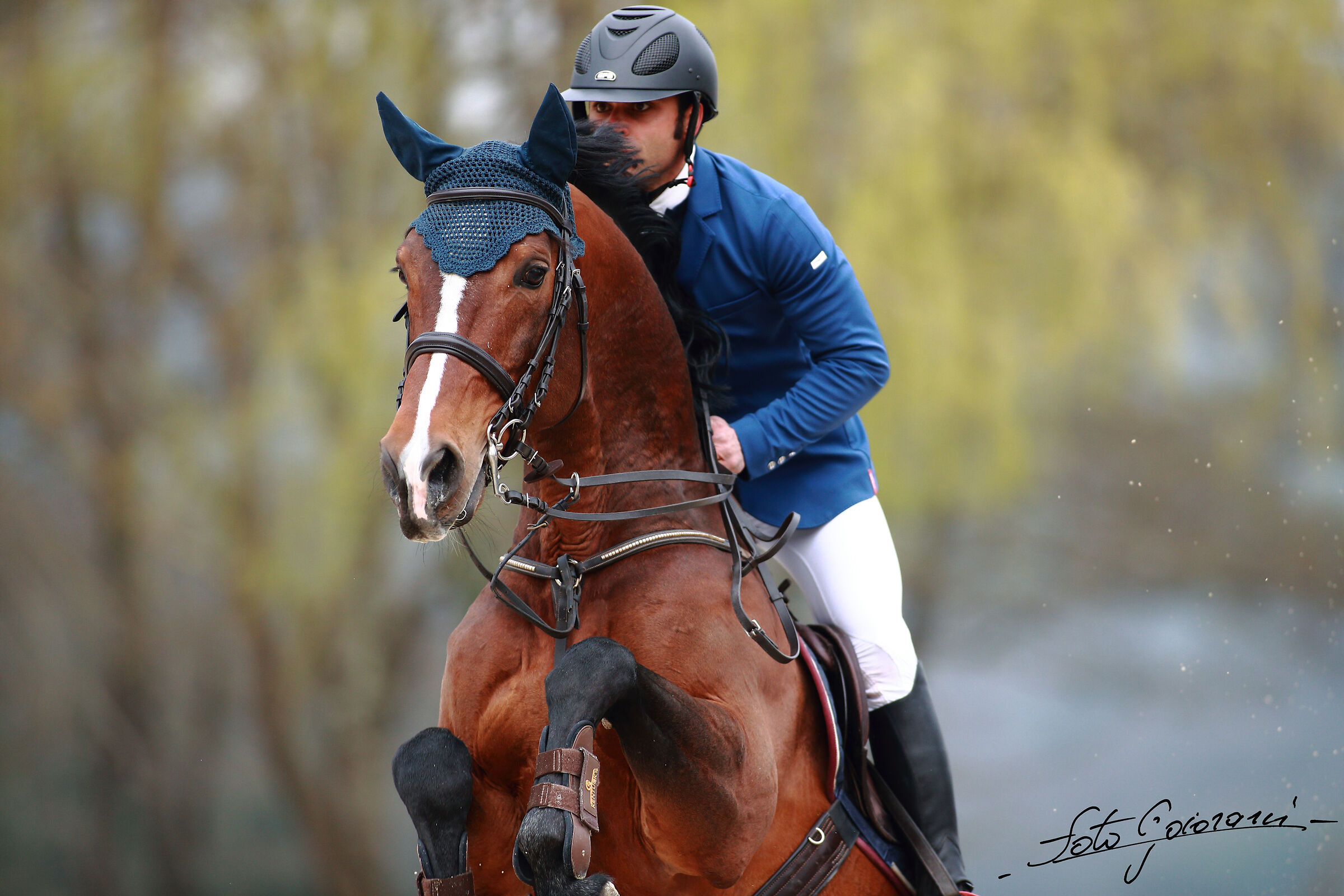 Groppoli Equestrian Center (PT) A1+ Ambassador Competition