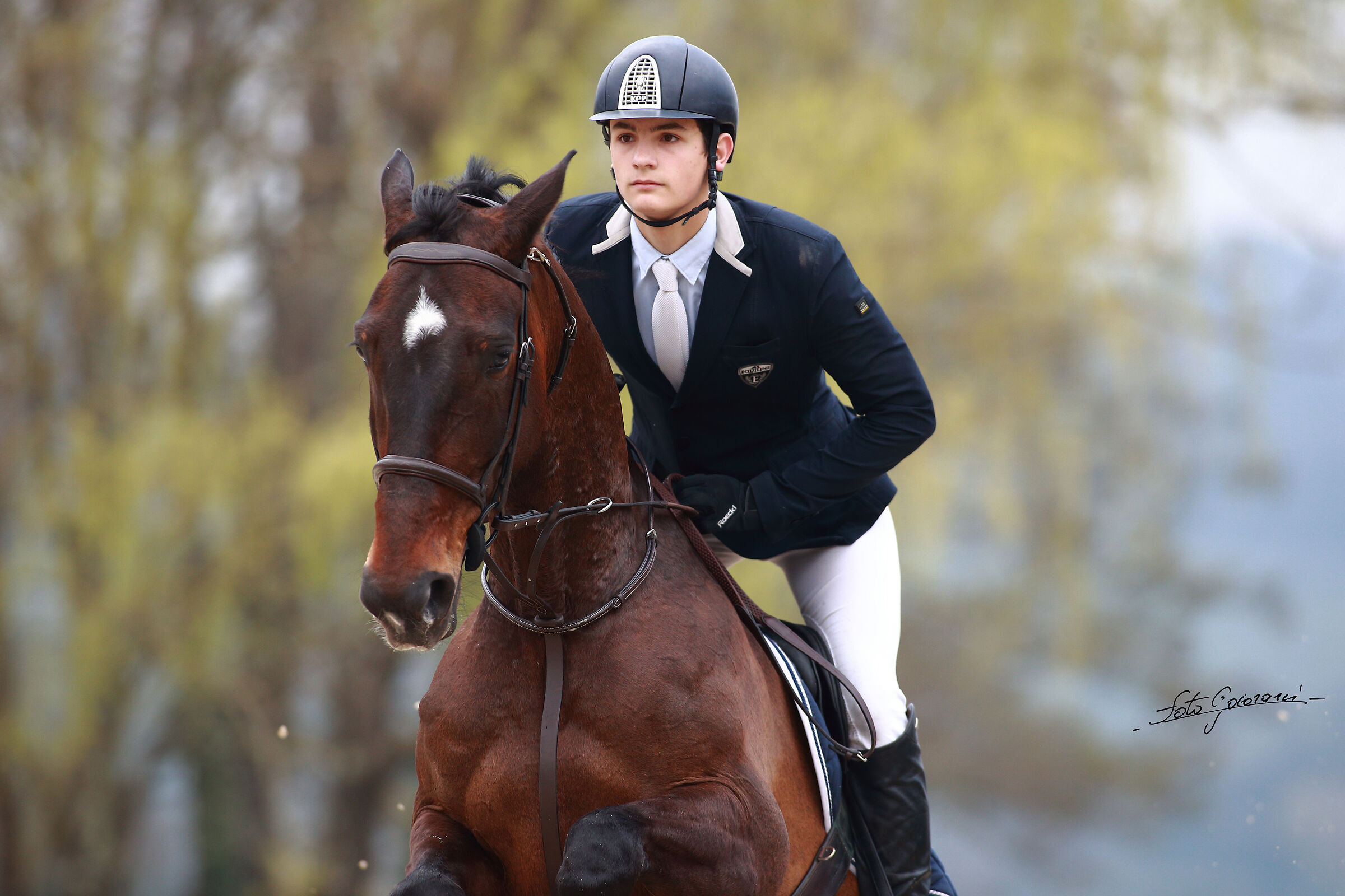 Groppoli Equestrian Center (PT) A1+ Ambassador Competition