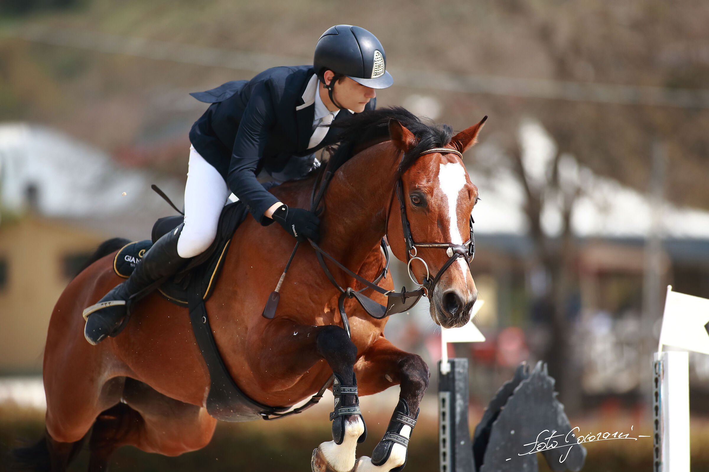 Groppoli Equestrian Center (PT) A1+ Ambassador Competition
