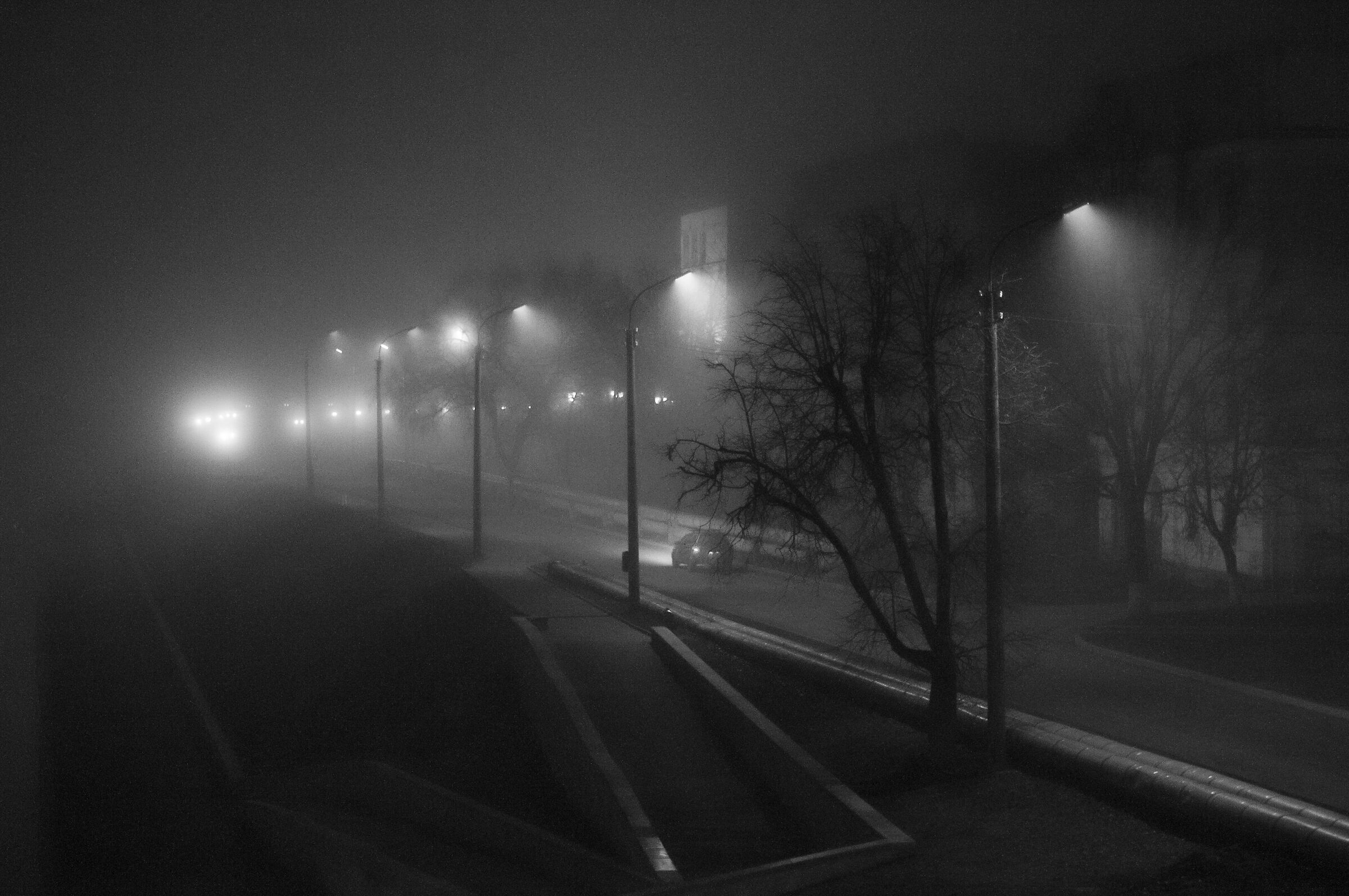 Strada nella notte nebbiosa...