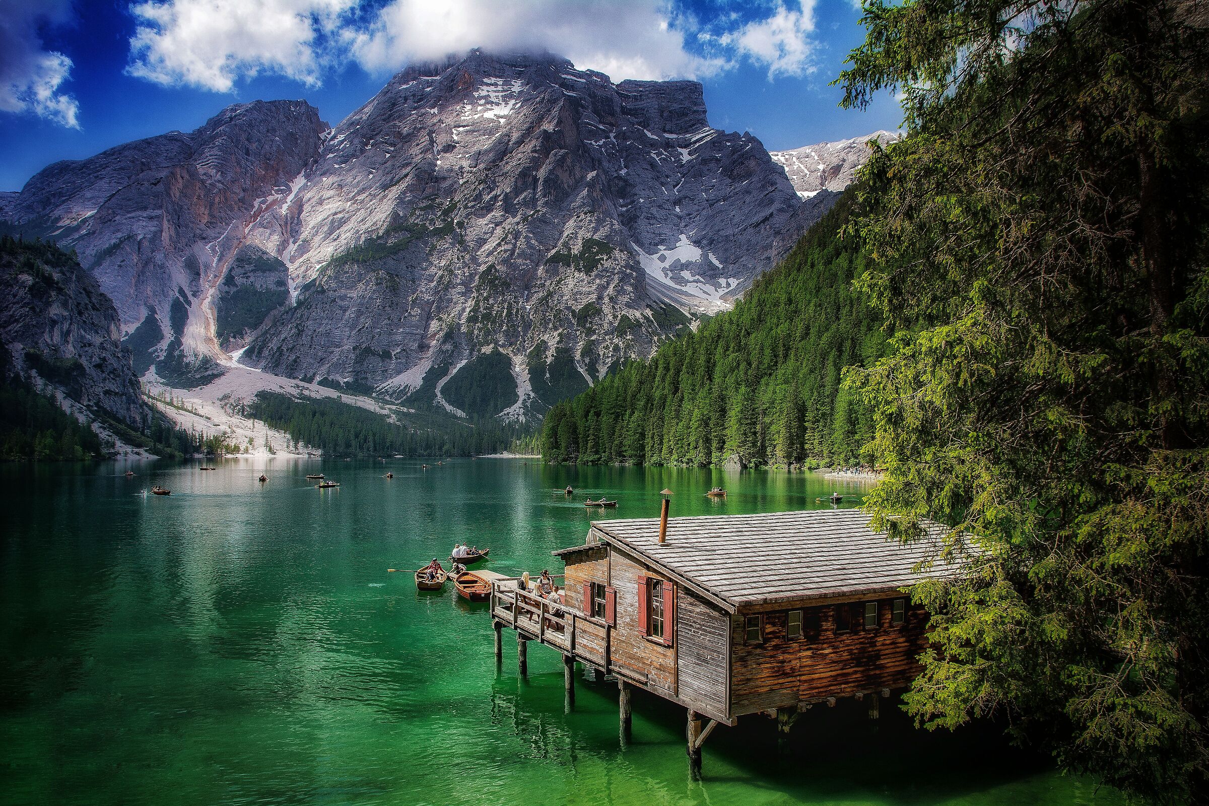 Paradise of the Eyes