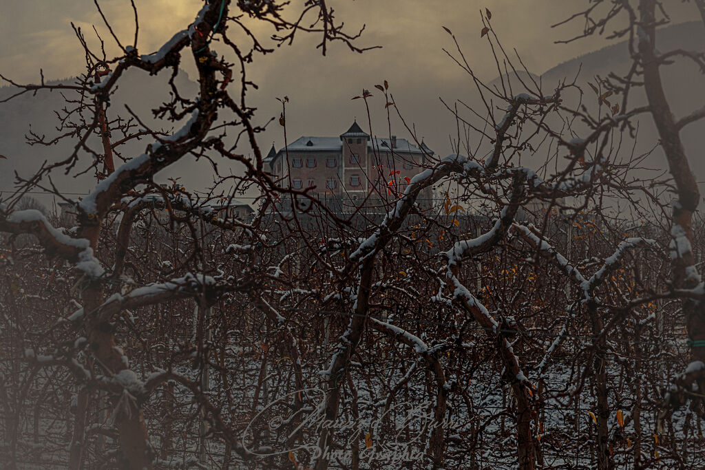 Fra le nebbie in Val di Non - 1